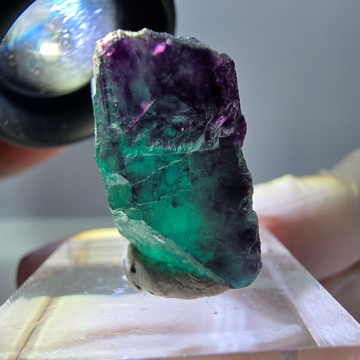 Phantom Fluorit Würfel Stufe, parkettiert grün lila Okorusu, Namibia 21*19*14mm