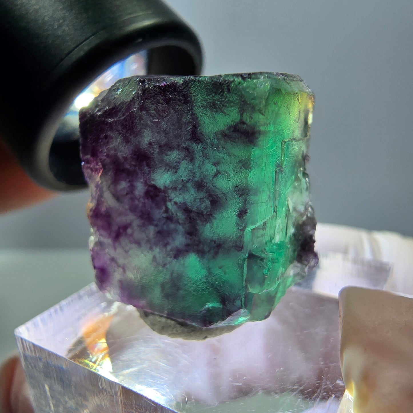 Phantom Fluorit Würfel Stufe, parkettiert grün lila Okorusu, Namibia 21*19*14mm