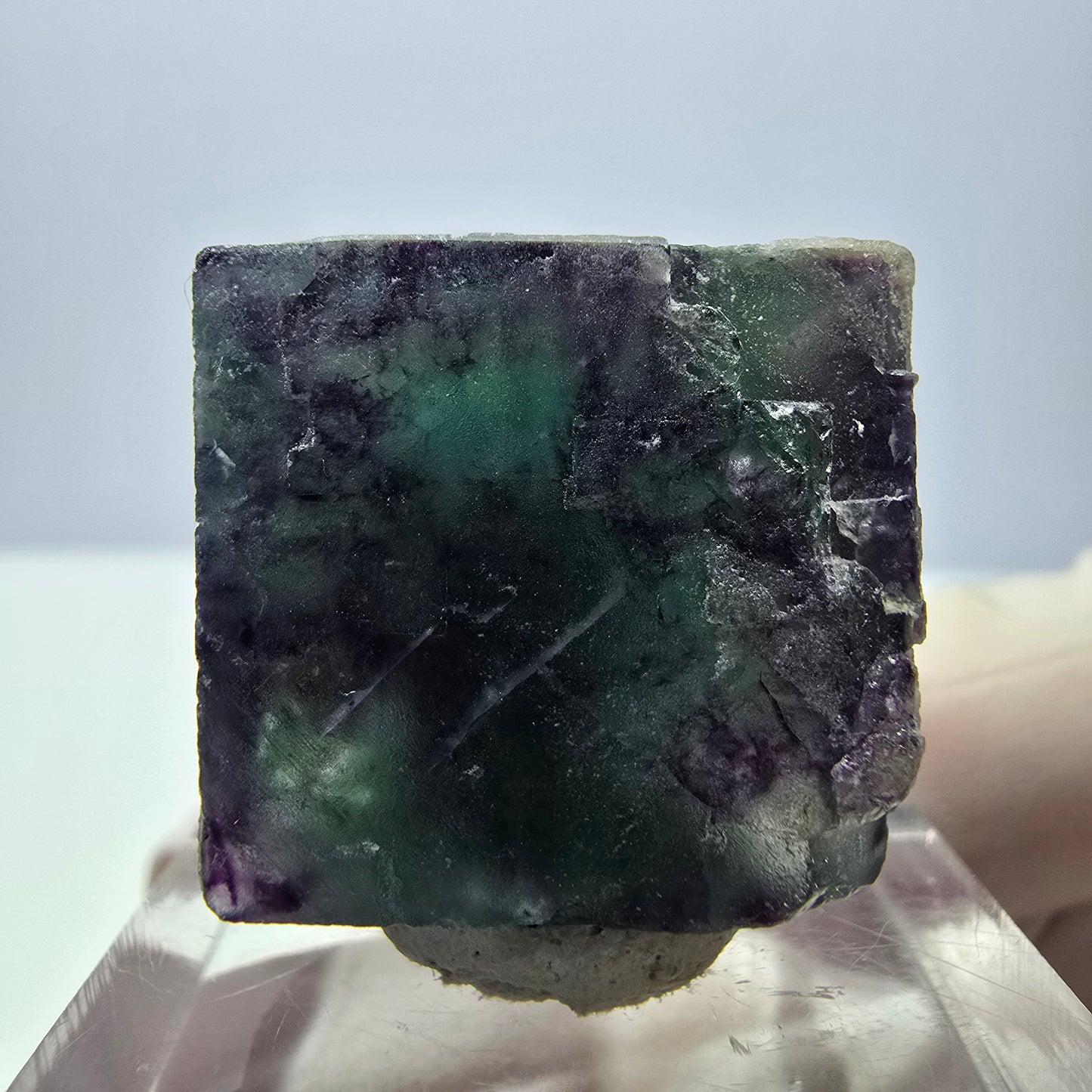 Phantom Fluorit Würfel Stufe, parkettiert grün lila Okorusu, Namibia 21*19*18mm