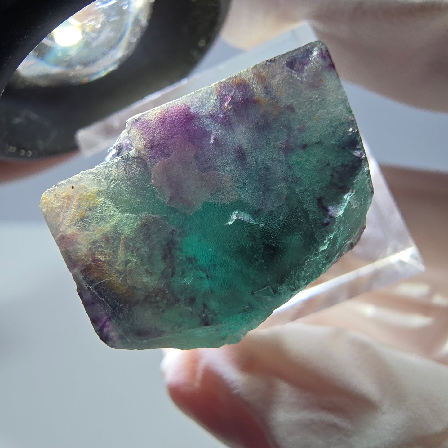Phantom Fluorit Würfel Stufe, parkettiert grün lila Okorusu, Namibia 21*19*18mm