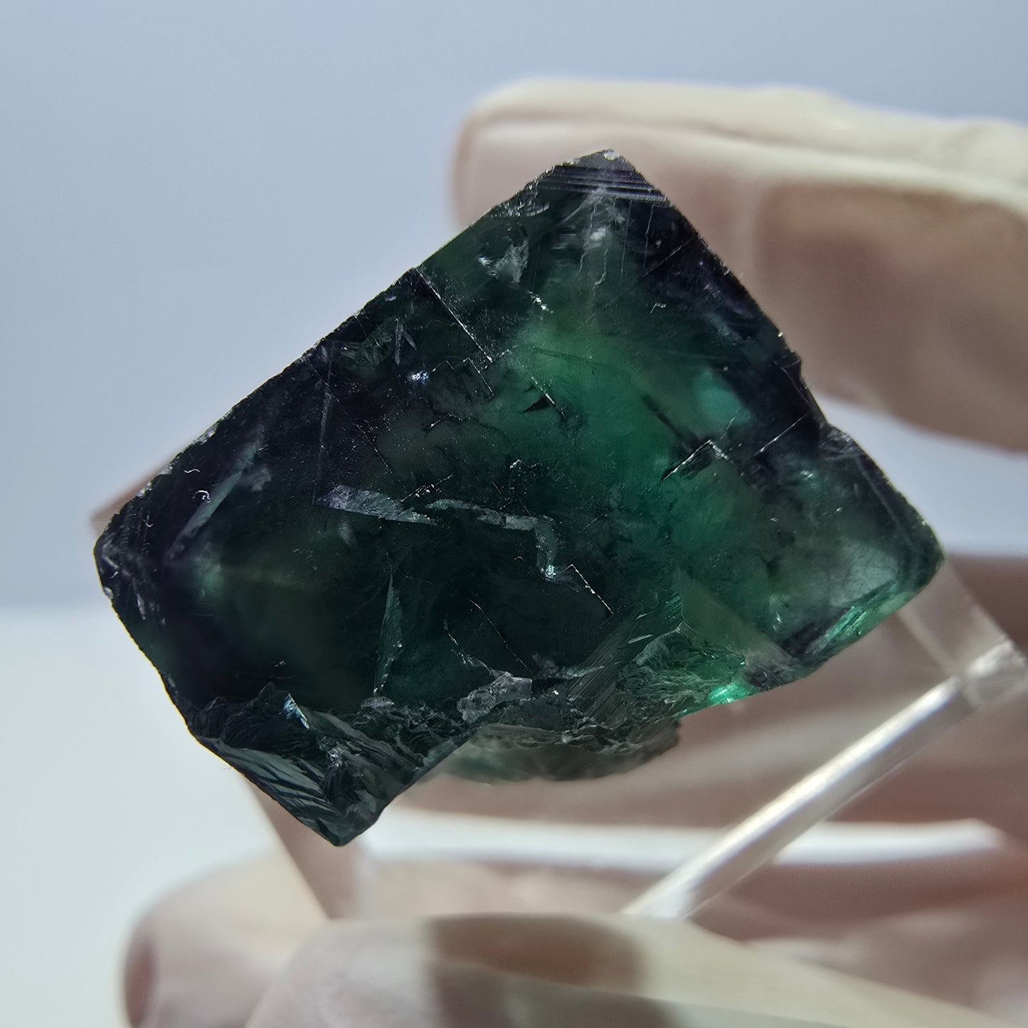 Phantom Fluorit Würfel Stufe, parkettiert grün lila Okorusu, Namibia 18*17*14mm