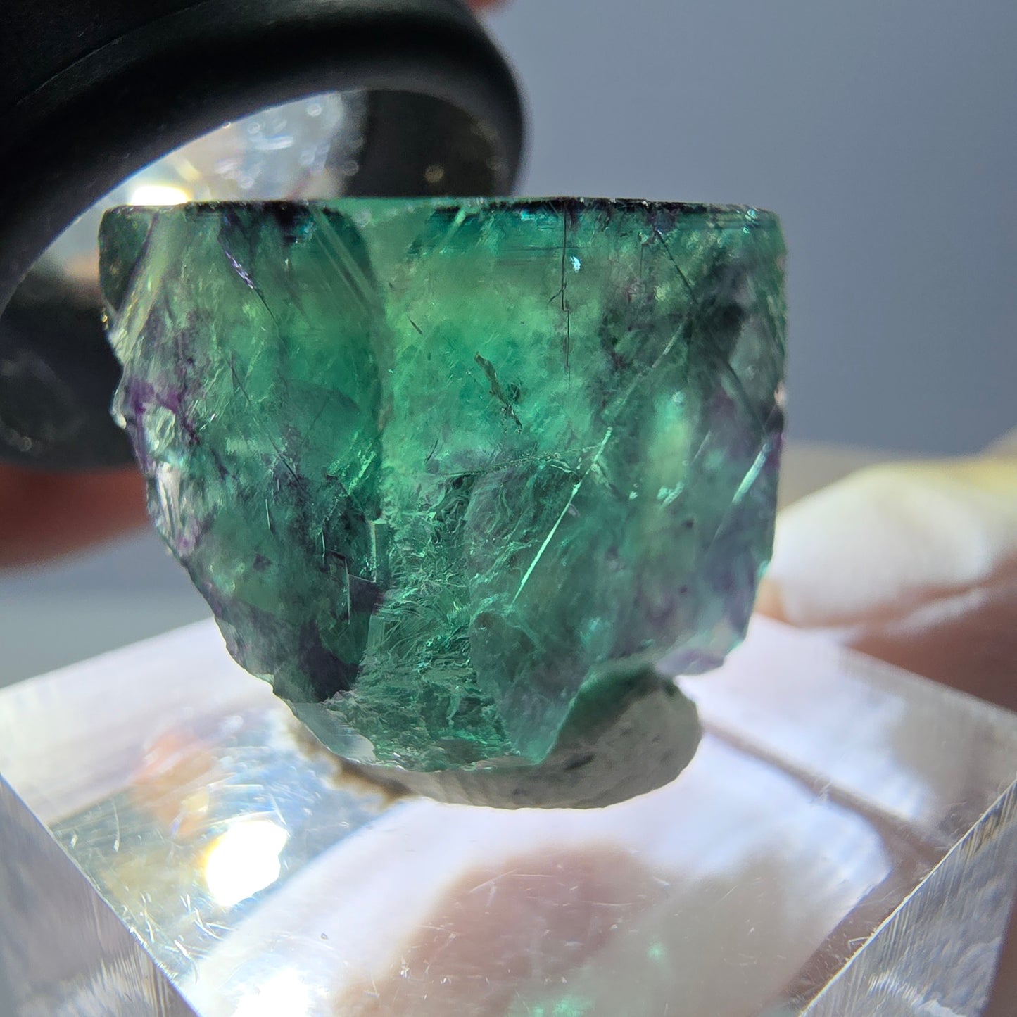Phantom Fluorit Würfel Stufe, parkettiert grün lila Okorusu, Namibia 18*17*14mm
