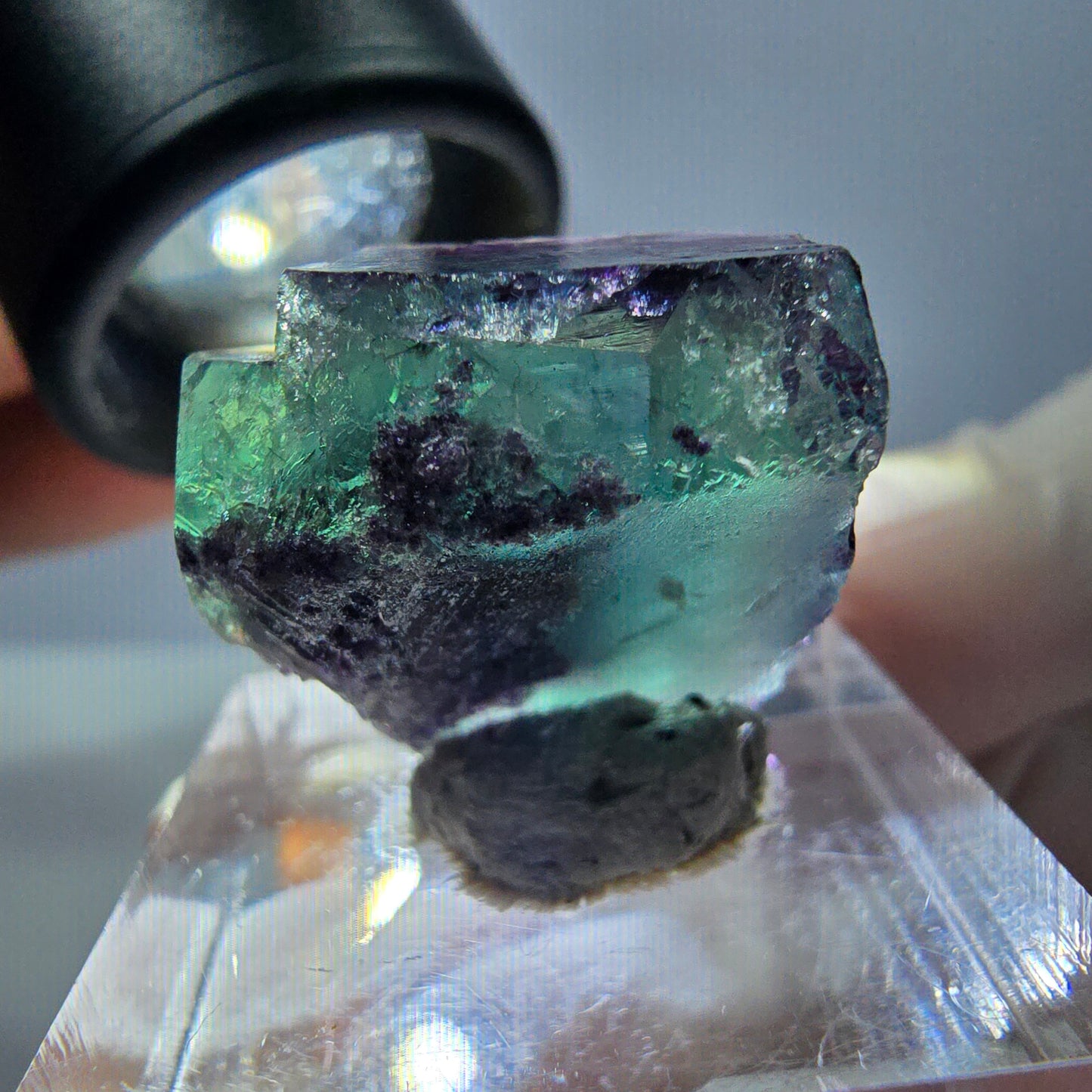 Phantom Fluorit Würfel Stufe, parkettiert grün lila Okorusu, Namibia 21*18*15mm