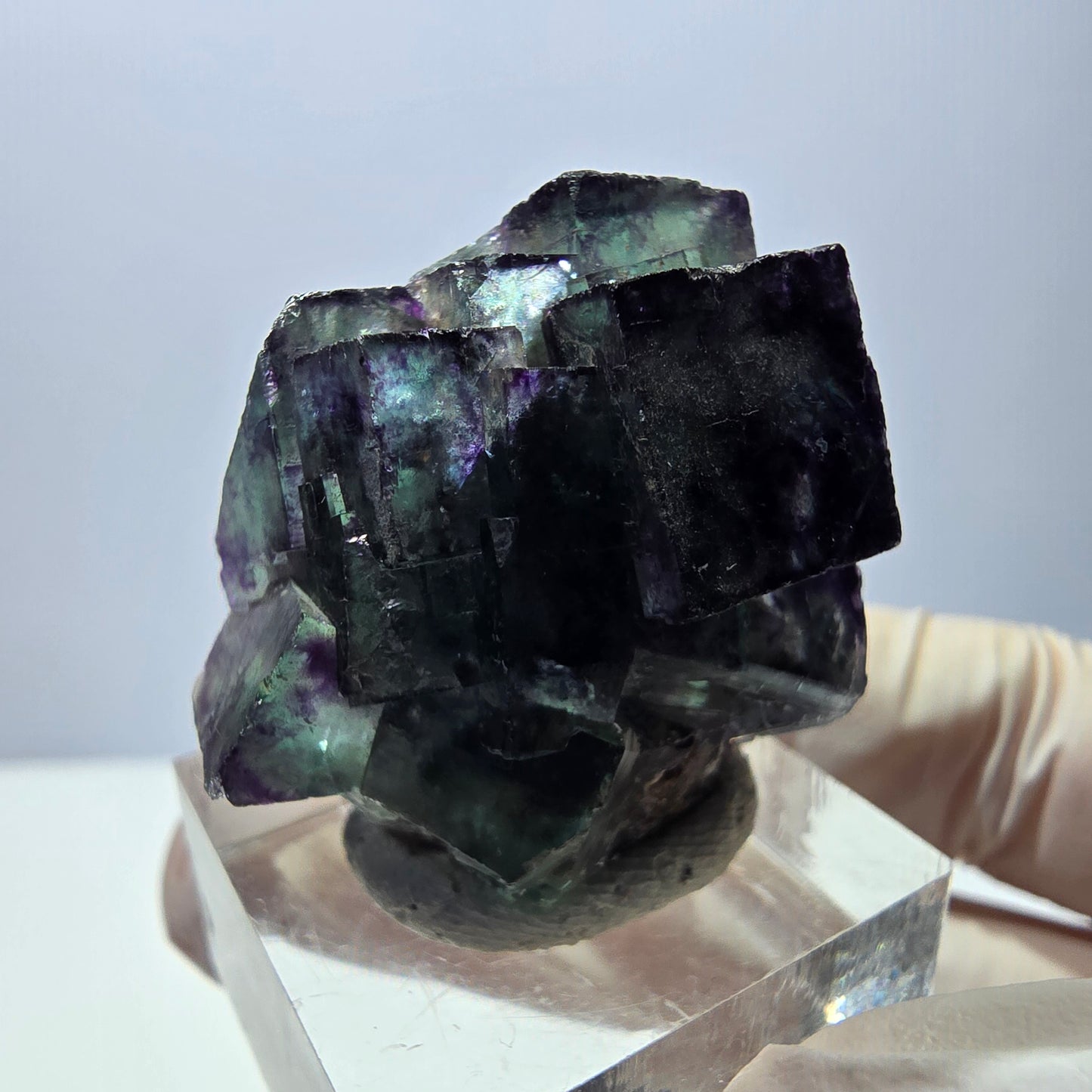 Phantom Fluorit Würfel Stufe, parkettiert grün lila Okorusu, Namibia 29*28*16mm