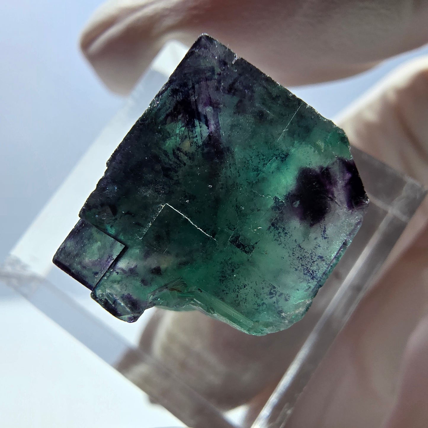 Phantom Fluorit Würfel Stufe, parkettiert grün lila Okorusu, Namibia 15*16*14mm
