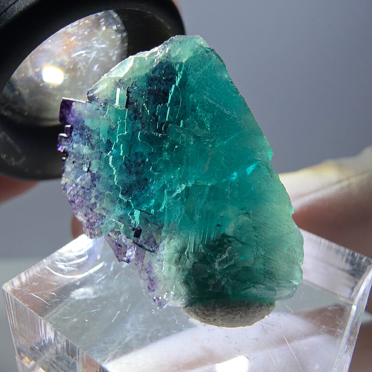 Phantom Fluorit Würfel Stufe, parkettiert grün lila Okorusu, Namibia 27*19*15mm