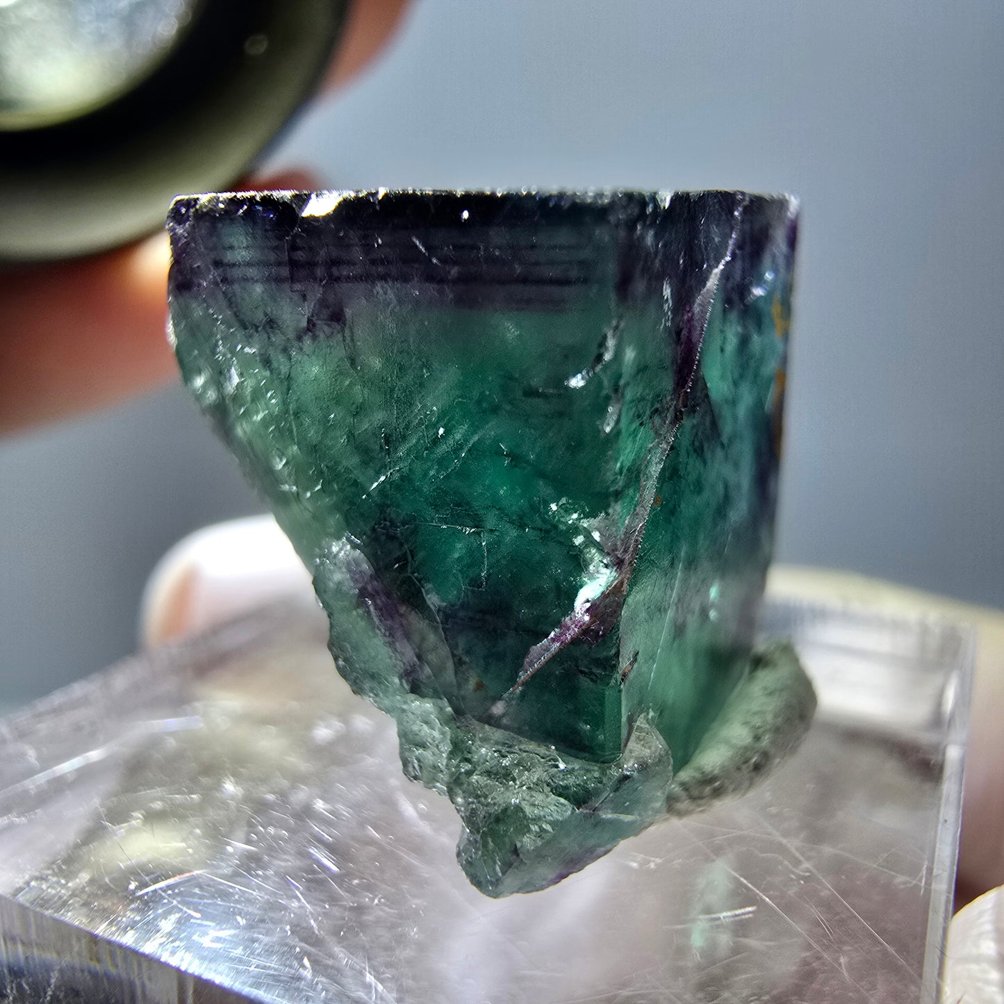 Phantom Fluorit Würfel Stufe, parkettiert grün lila Okorusu, Namibia 20*16*15mm