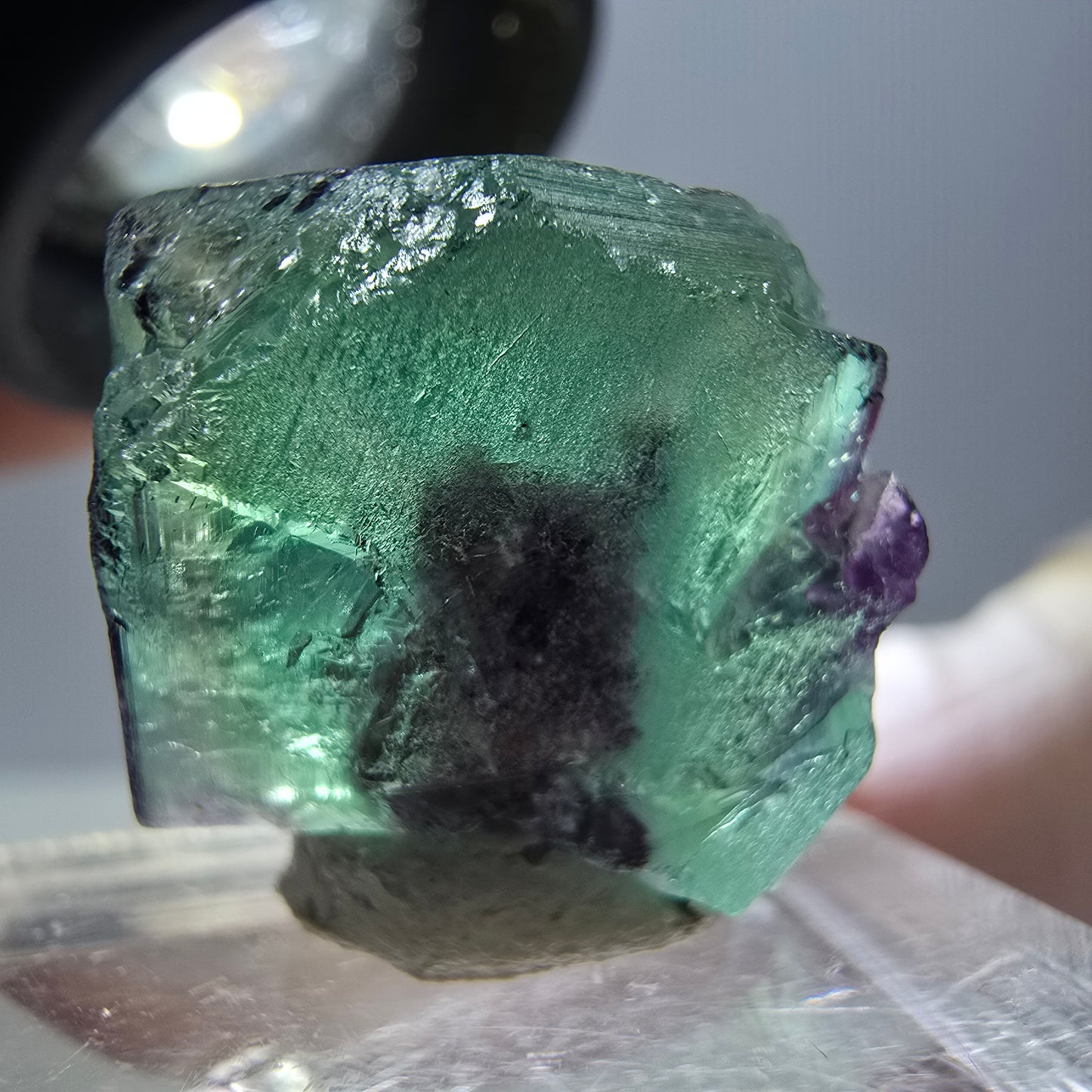Phantom Fluorit Würfel Stufe, parkettiert grün lila Okorusu, Namibia 17*17*11mm