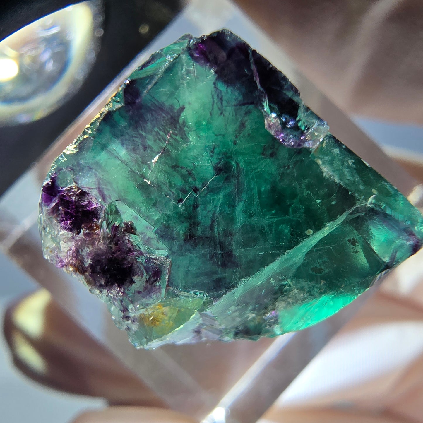 Phantom Fluorit Würfel Stufe, parkettiert grün lila Okorusu, Namibia 18*16*15mm