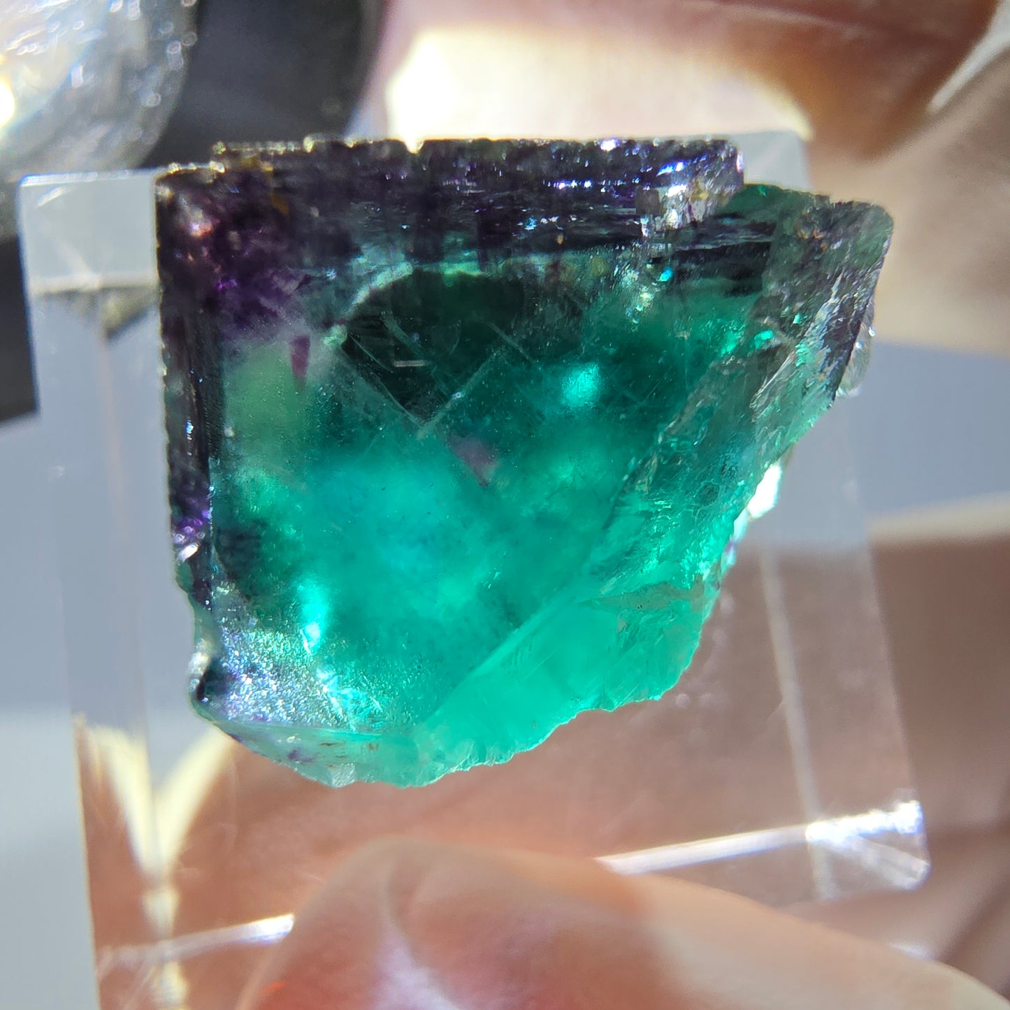 Phantom Fluorit Würfel Stufe, parkettiert grün lila Okorusu, Namibia 18*15*13mm