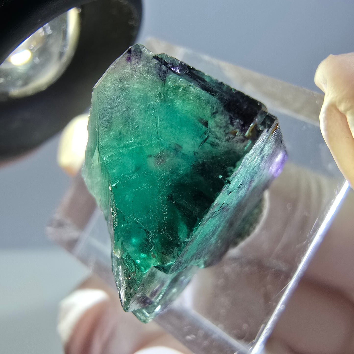Phantom Fluorit Würfel Stufe, parkettiert grün lila Okorusu, Namibia 18*15*13mm