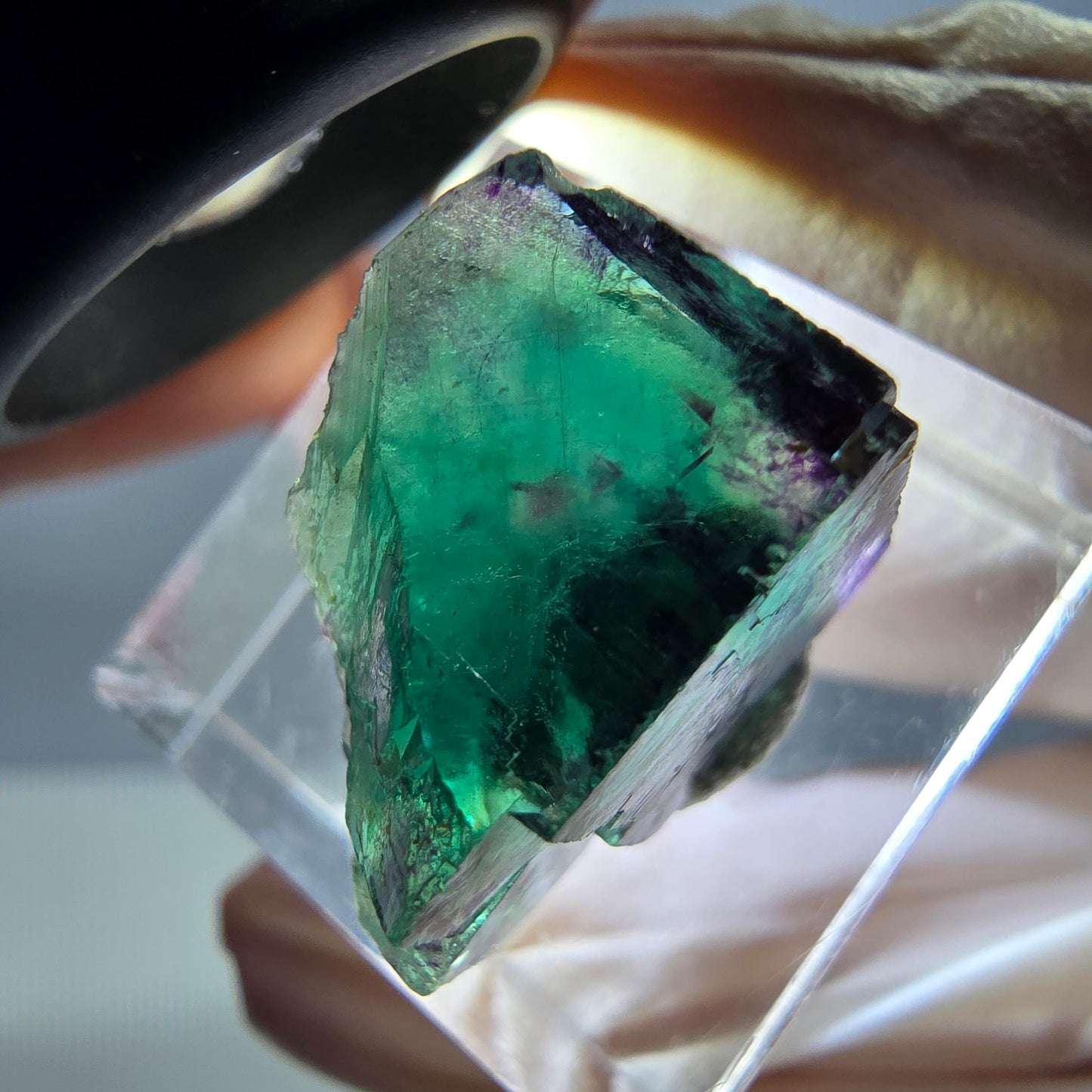 Phantom Fluorit Würfel Stufe, parkettiert grün lila Okorusu, Namibia 18*15*13mm