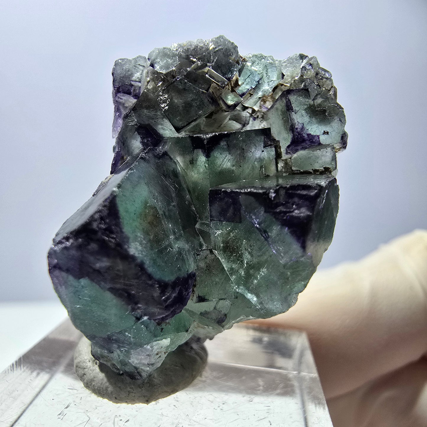 Phantom Fluorit Würfel Stufe, parkettiert, zonal Okorusu, Namibia 28*24*18mm