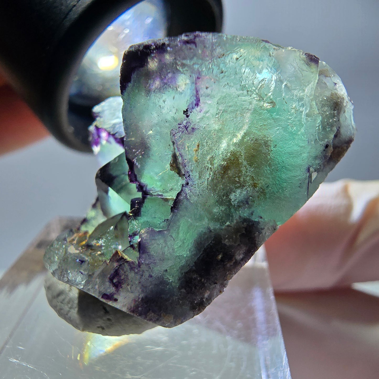 Phantom Fluorit Würfel Stufe, parkettiert, zonal Okorusu, Namibia 28*24*18mm