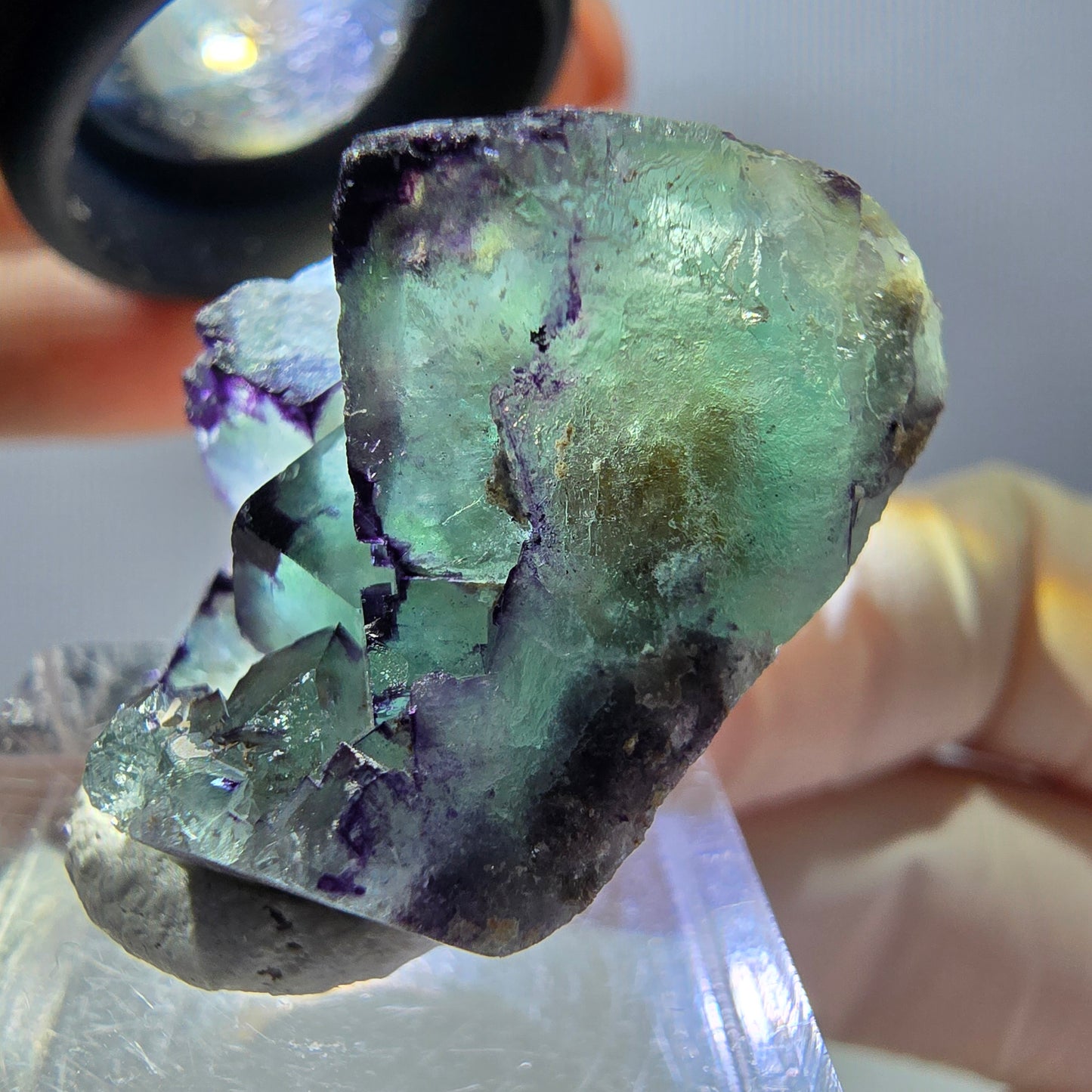 Phantom Fluorit Würfel Stufe, parkettiert, zonal Okorusu, Namibia 28*24*18mm