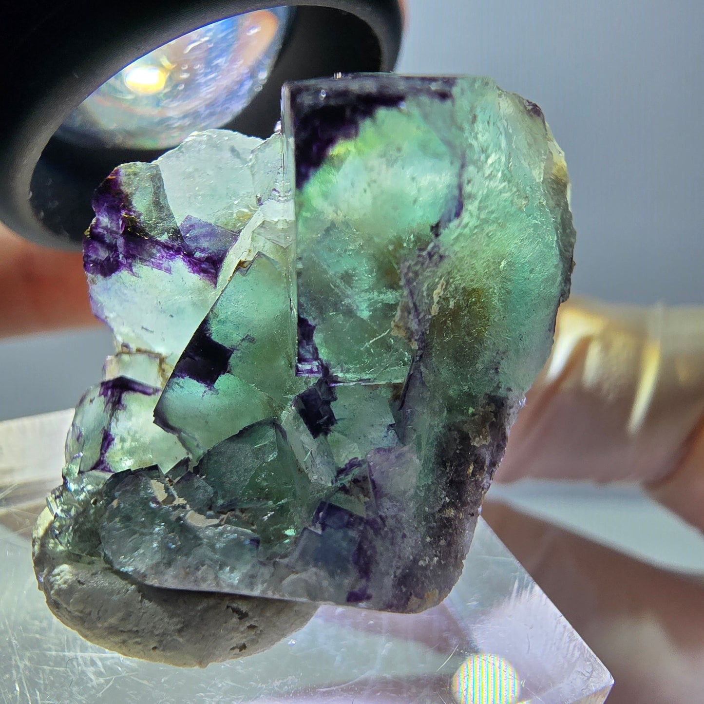 Phantom Fluorit Würfel Stufe, parkettiert, zonal Okorusu, Namibia 28*24*18mm