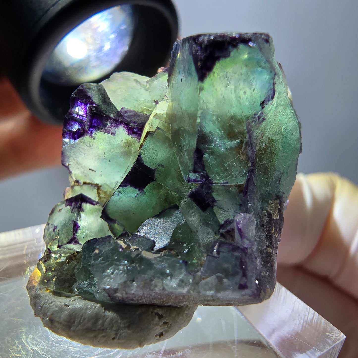 Phantom Fluorit Würfel Stufe, parkettiert, zonal Okorusu, Namibia 28*24*18mm