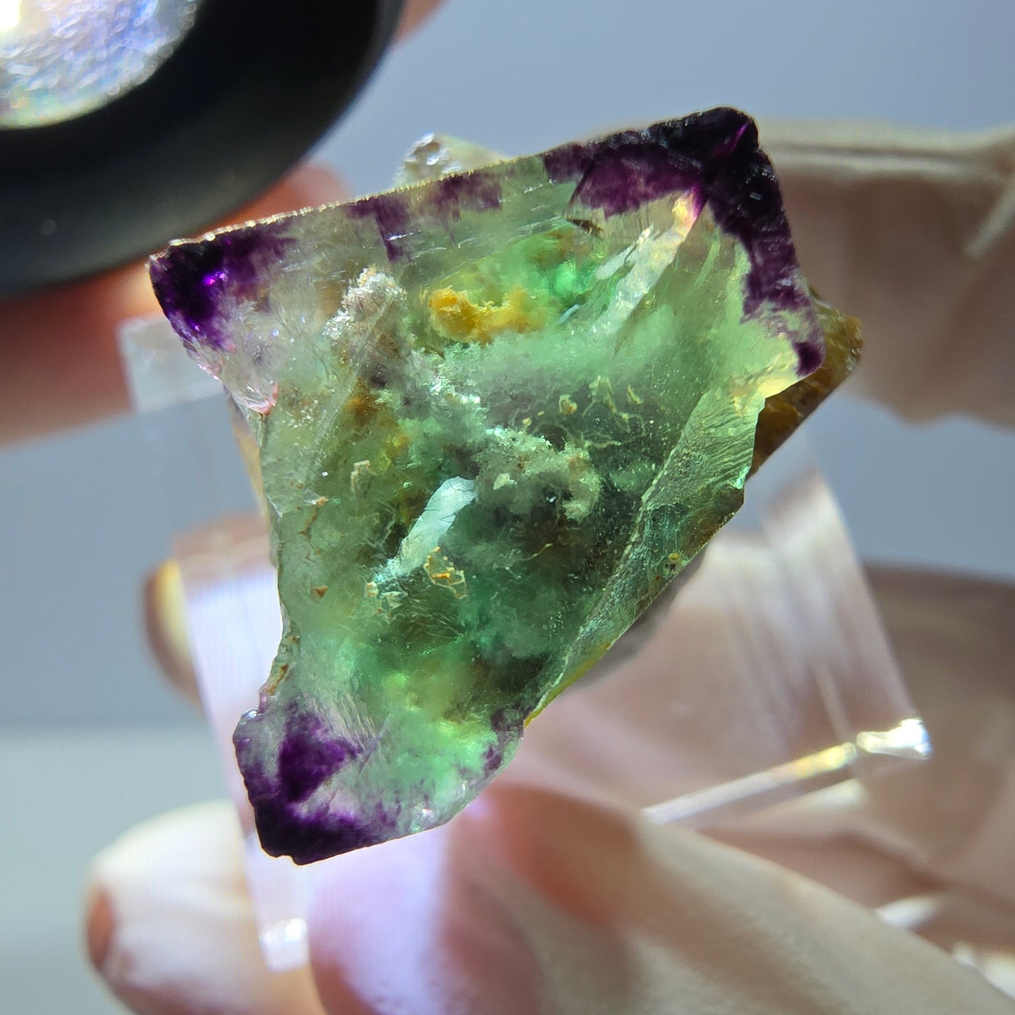 Phantom Fluorit Würfel Stufe, parkettiert, zonal Okorusu, Namibia 25*21*18mm