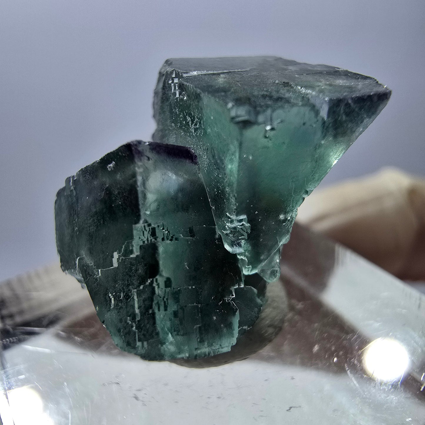 Phantom Fluorit Würfel Stufe, parkettiert, zonal Okorusu, Namibia 21*17*16mm