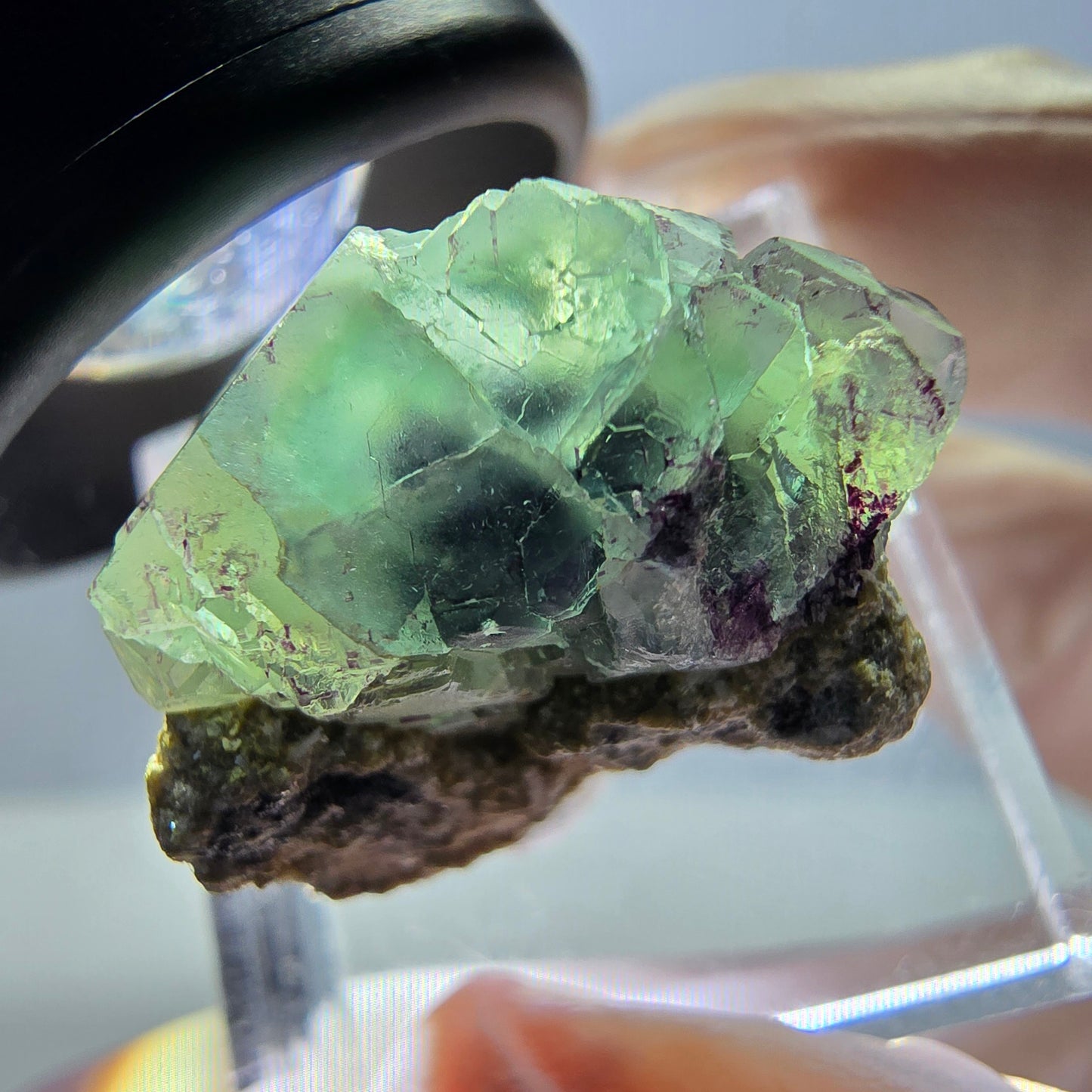 Phantom Fluorit Würfel, Muskovit Stufe grün lila Erongo, Namibia 23*17*16mm