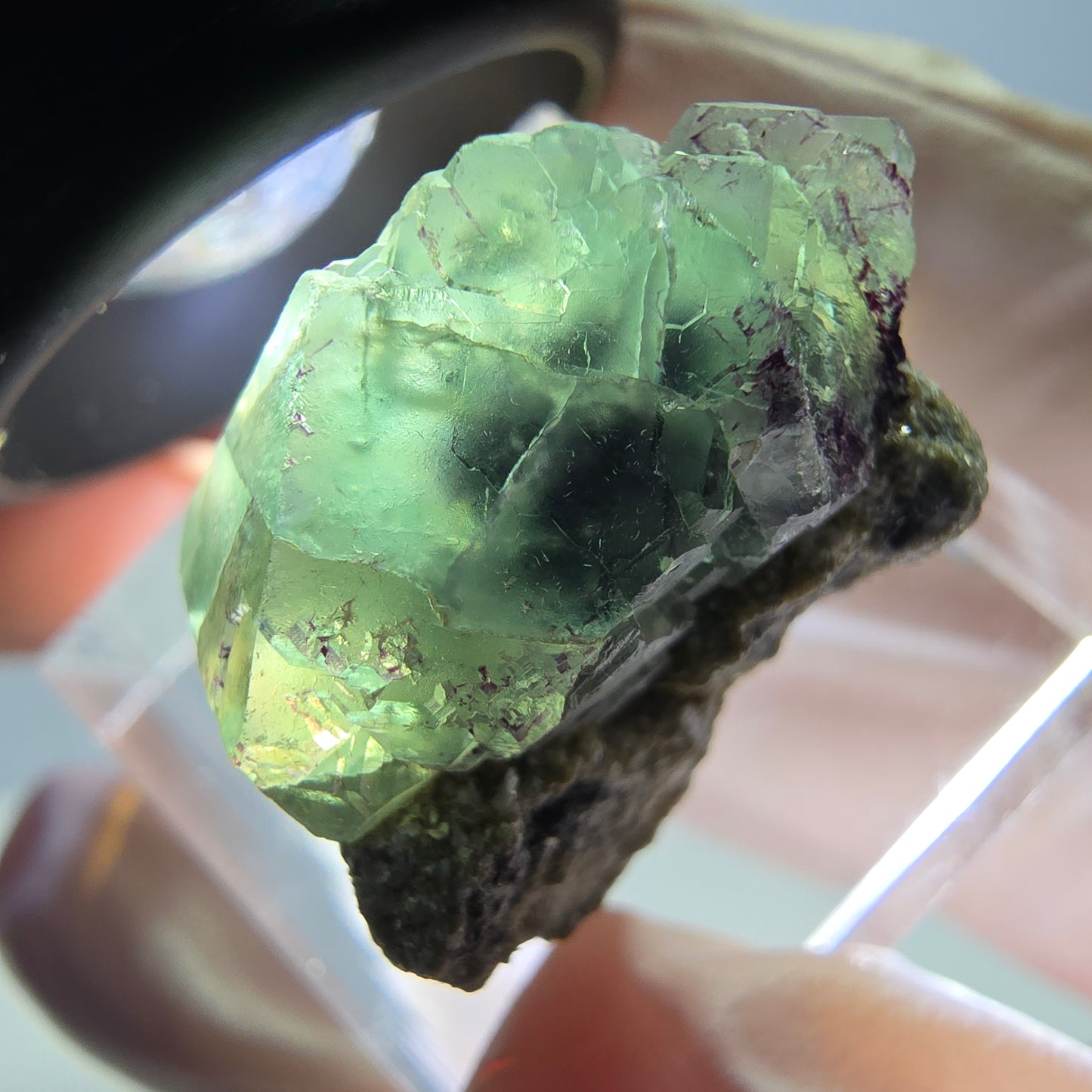 Phantom Fluorit Würfel, Muskovit Stufe grün lila Erongo, Namibia 23*17*16mm
