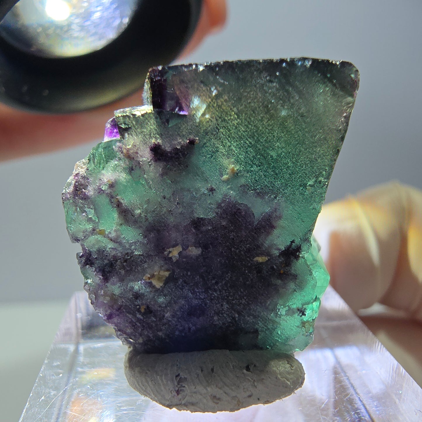Phantom Fluorit Würfel Stufe, parkettiert grün lila Okorusu, Namibia 23*23*15mm