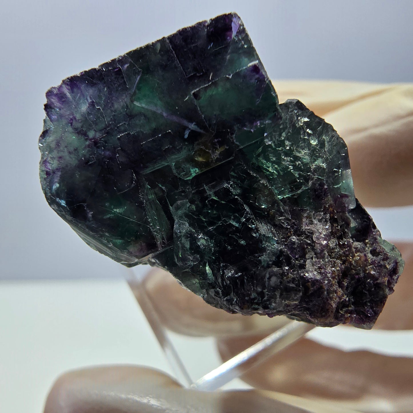 Phantom Fluorit Würfel Stufe, parkettiert grün lila Okorusu, Namibia 27*26*22mm