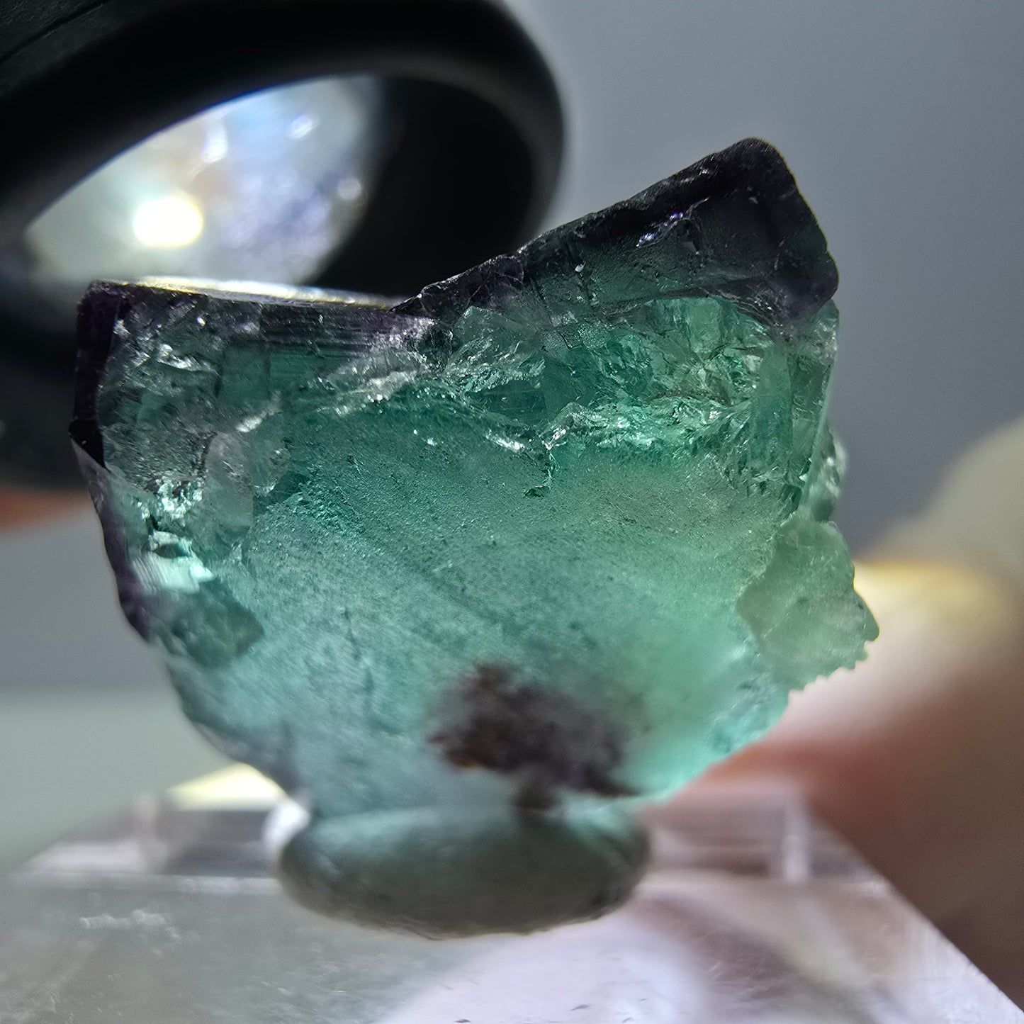 Phantom Fluorit Würfel Stufe, parkettiert grün lila Okorusu, Namibia 25*21*20mm