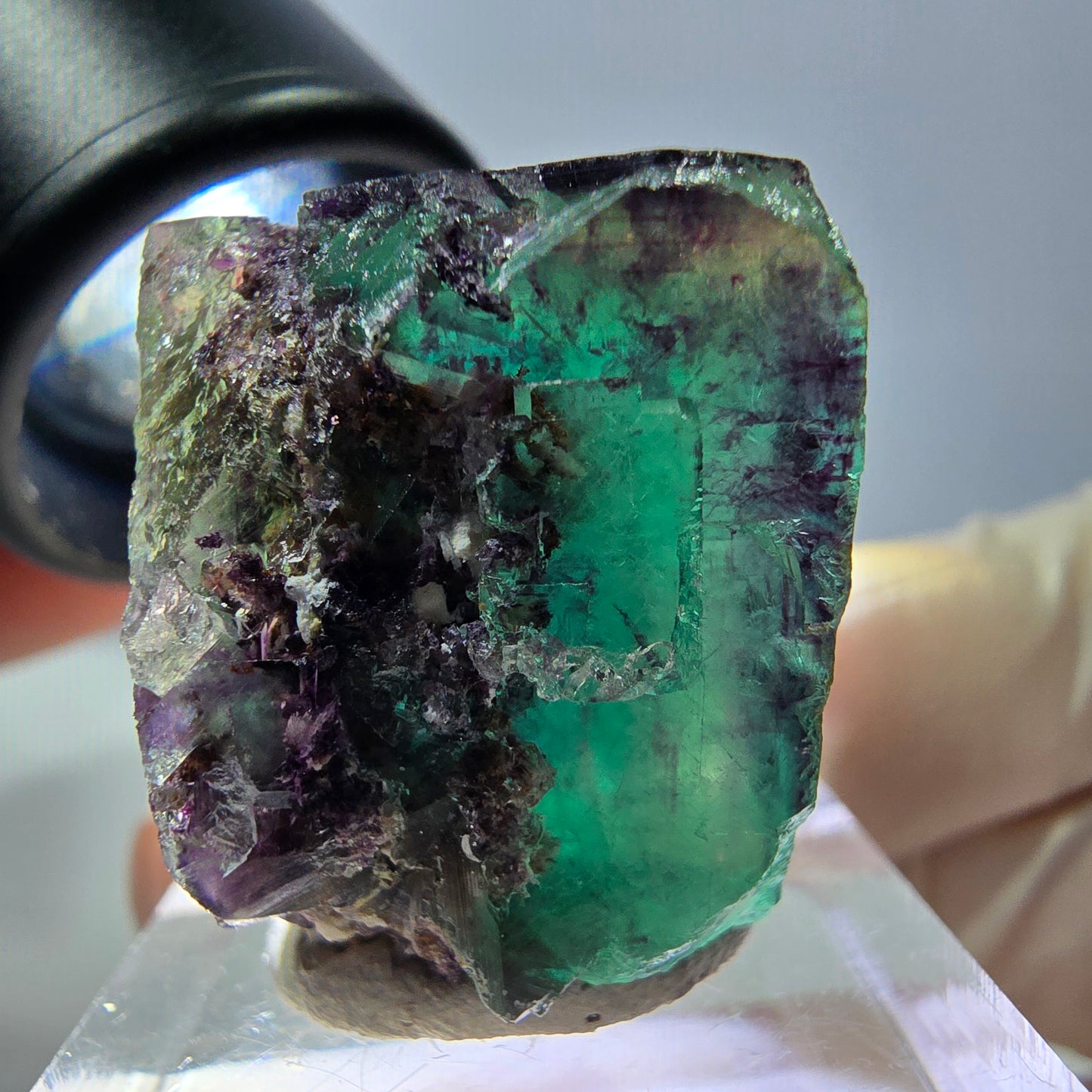 Phantom Fluorit Würfel Stufe, parkettiert grün lila Okorusu, Namibia 24*23*19mm