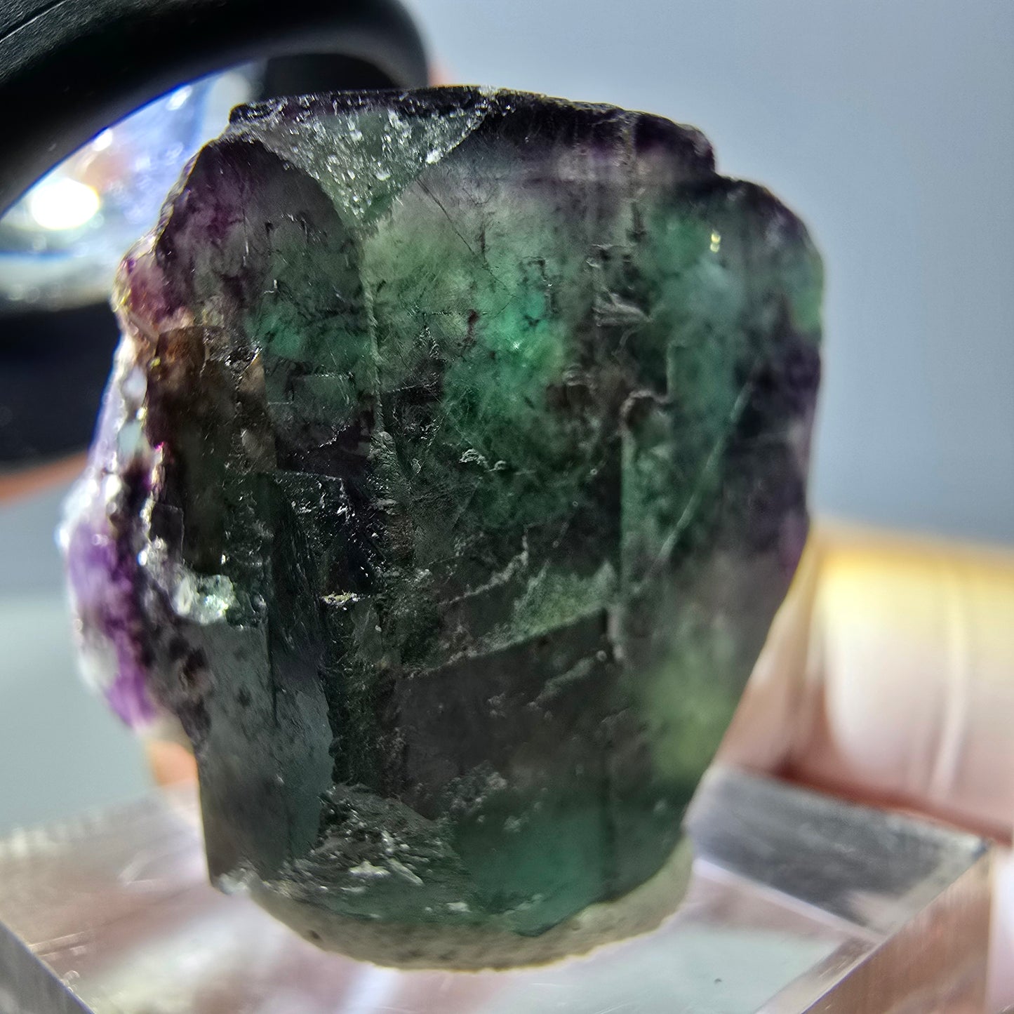 Phantom Fluorit Würfel Stufe, parkettiert grün lila Okorusu, Namibia 24*23*19mm