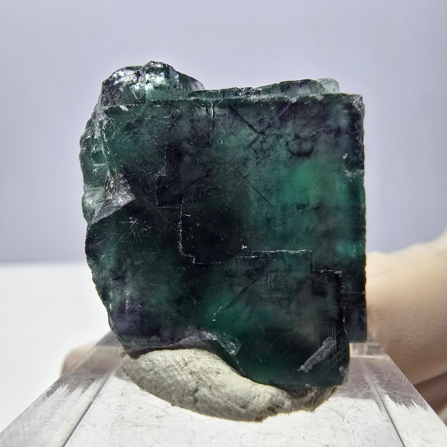 Phantom Fluorit Würfel Stufe, parkettiert grün lila Okorusu, Namibia 26*25*16mm