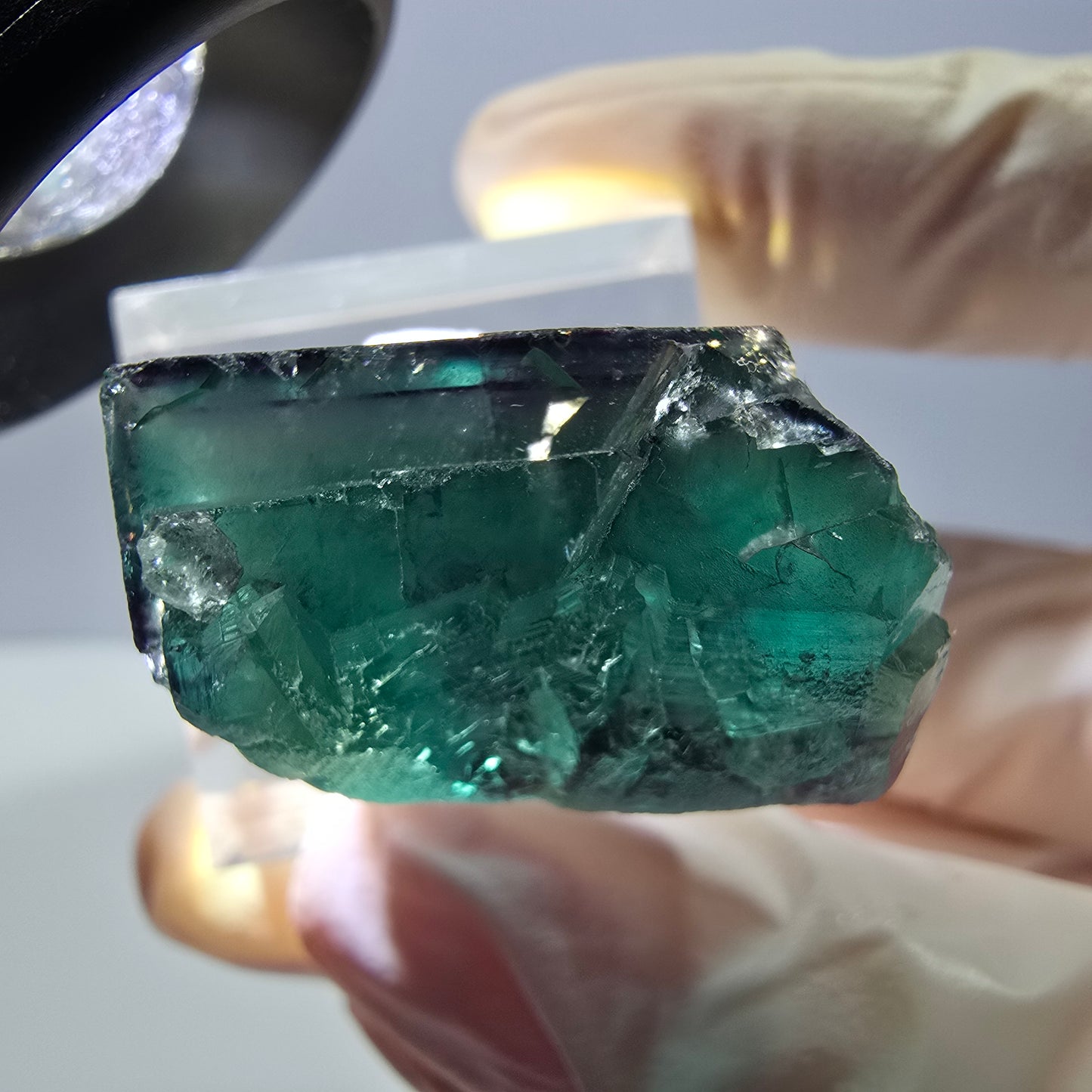 Phantom Fluorit Würfel Stufe, parkettiert grün lila Okorusu, Namibia 26*25*16mm