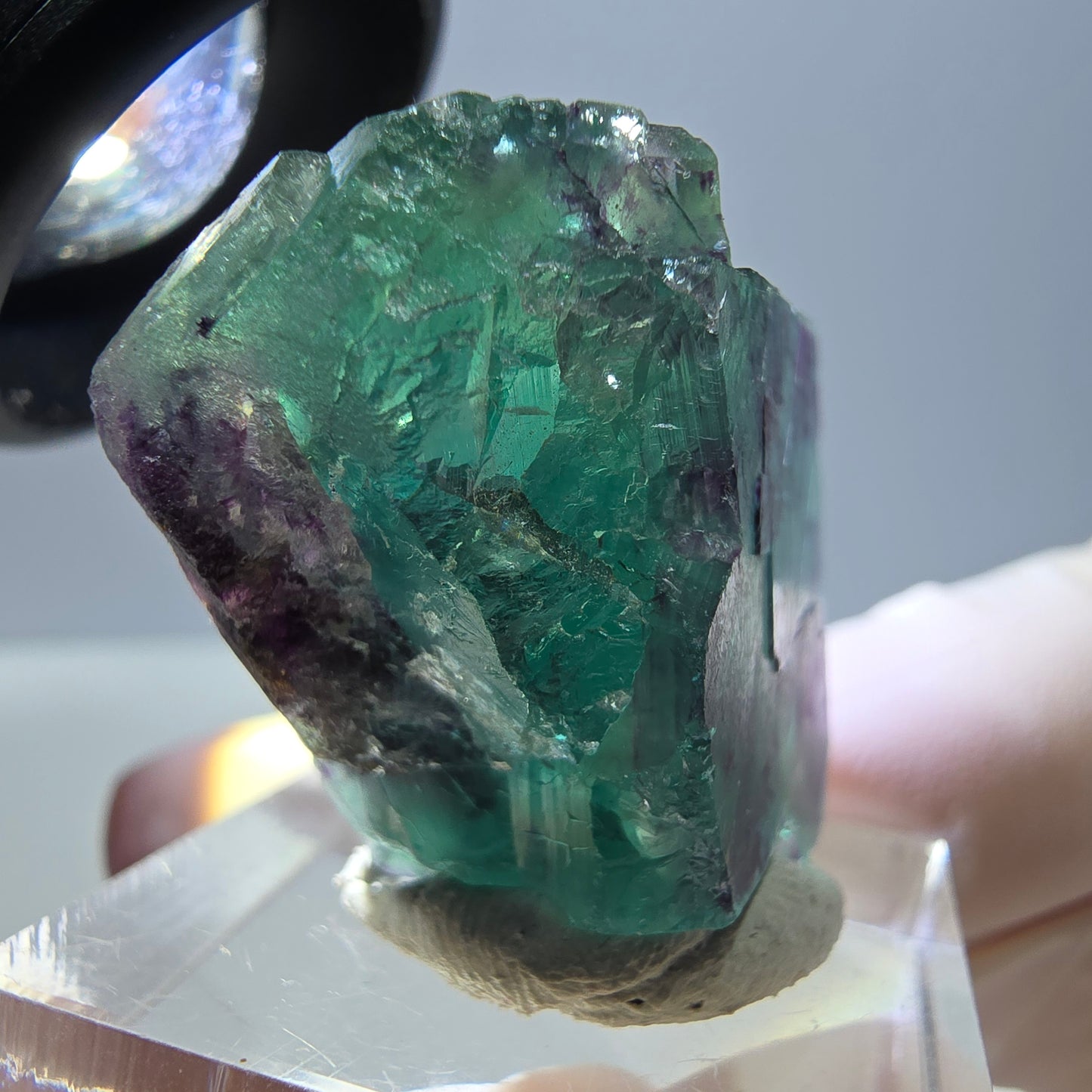 Phantom Fluorit Würfel Stufe, parkettiert grün lila Okorusu, Namibia 26*25*16mm