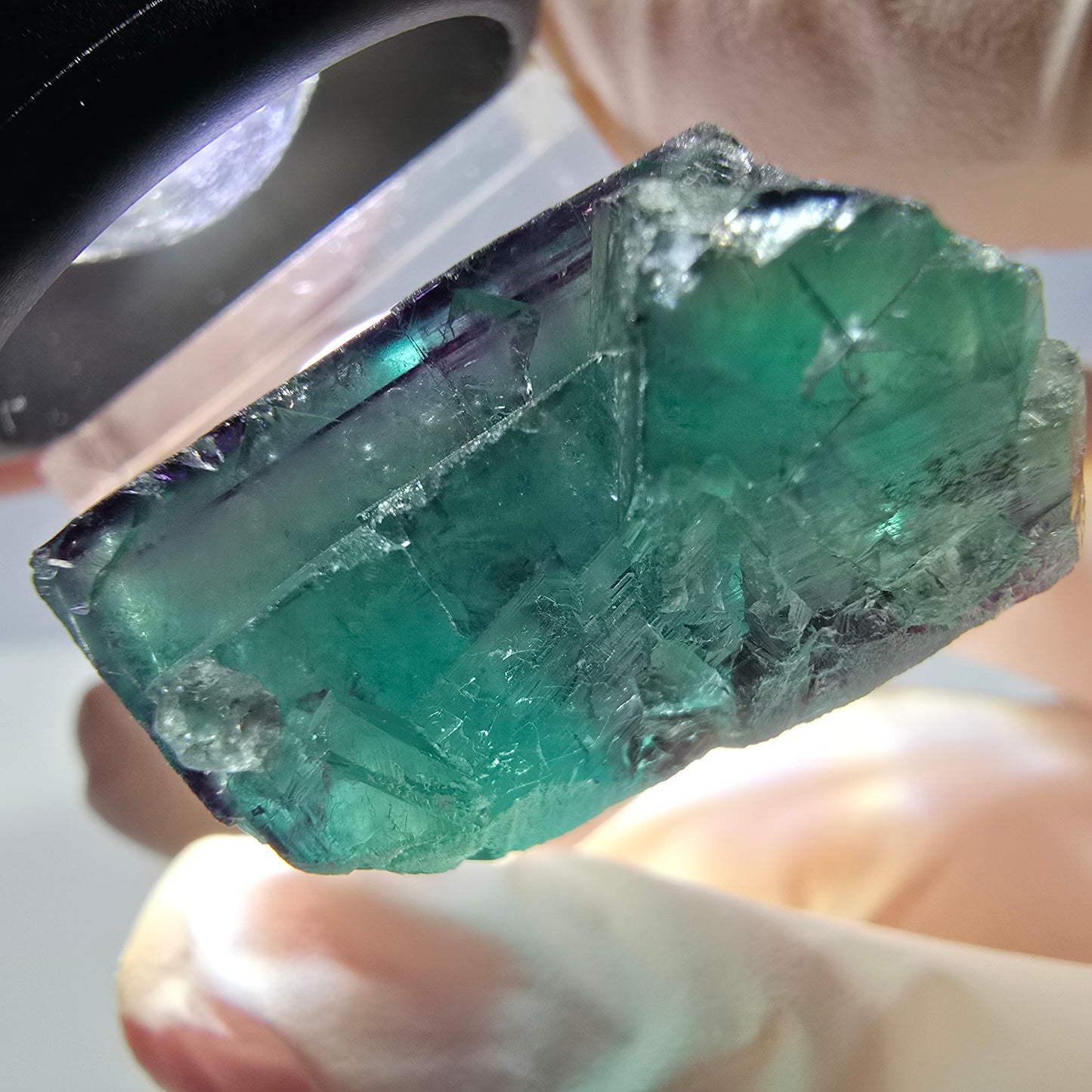 Phantom Fluorit Würfel Stufe, parkettiert grün lila Okorusu, Namibia 26*25*16mm