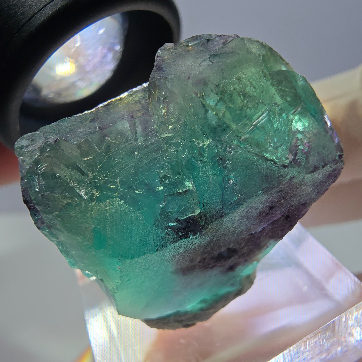 Phantom Fluorit Würfel Stufe, parkettiert grün lila Okorusu, Namibia 26*25*16mm
