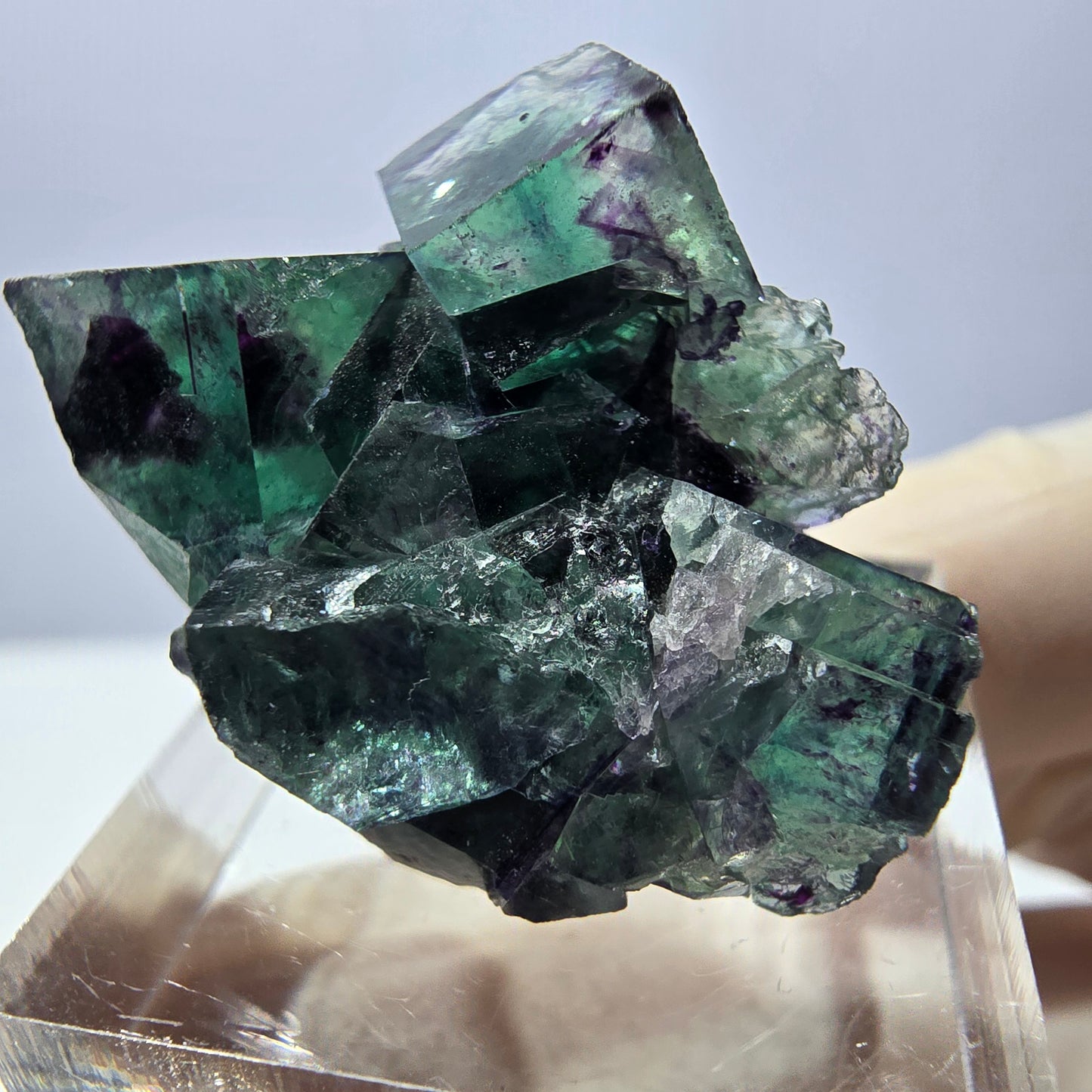 Phantom Fluorit Würfel Stufe, parkettiert grün lila Okorusu, Namibia 31*25*14mm