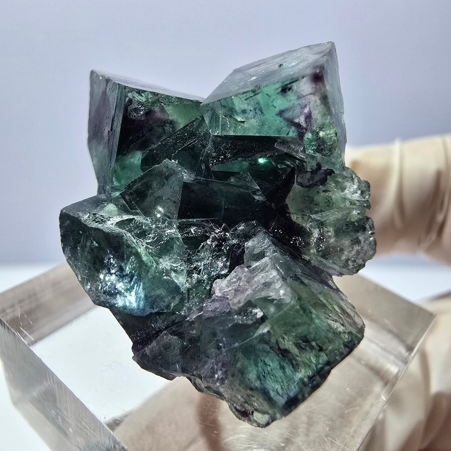 Phantom Fluorit Würfel Stufe, parkettiert grün lila Okorusu, Namibia 31*25*14mm