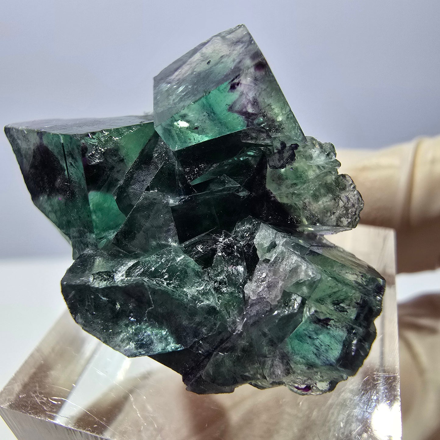 Phantom Fluorit Würfel Stufe, parkettiert grün lila Okorusu, Namibia 31*25*14mm