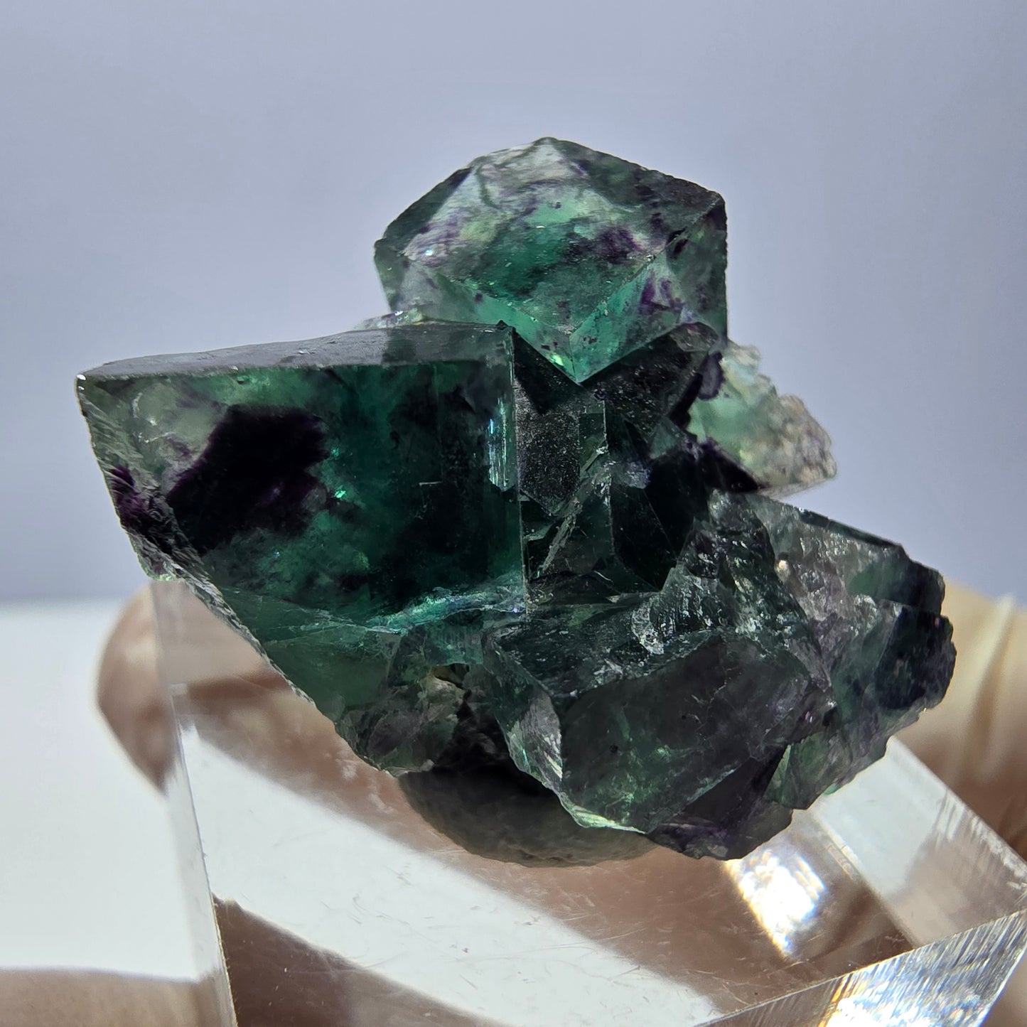 Phantom Fluorit Würfel Stufe, parkettiert grün lila Okorusu, Namibia 31*25*14mm