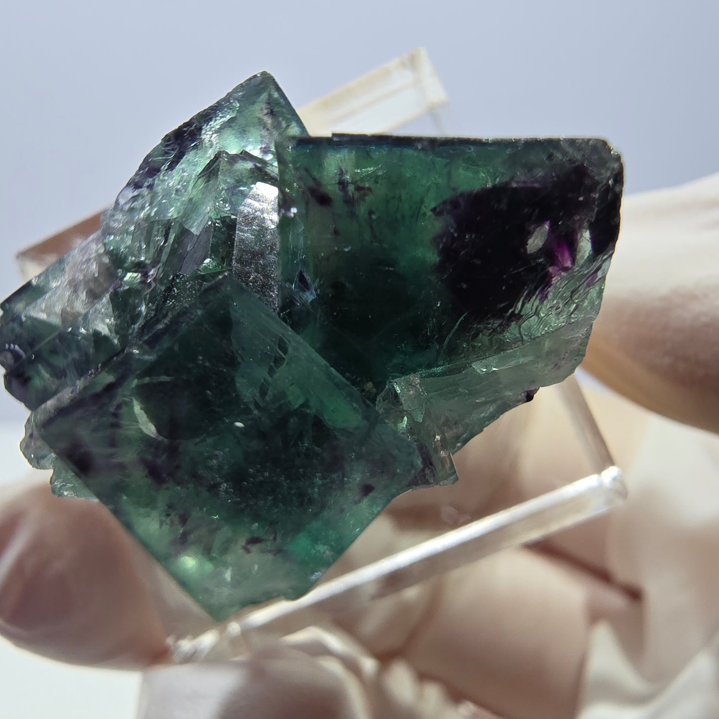 Phantom Fluorit Würfel Stufe, parkettiert grün lila Okorusu, Namibia 31*25*14mm