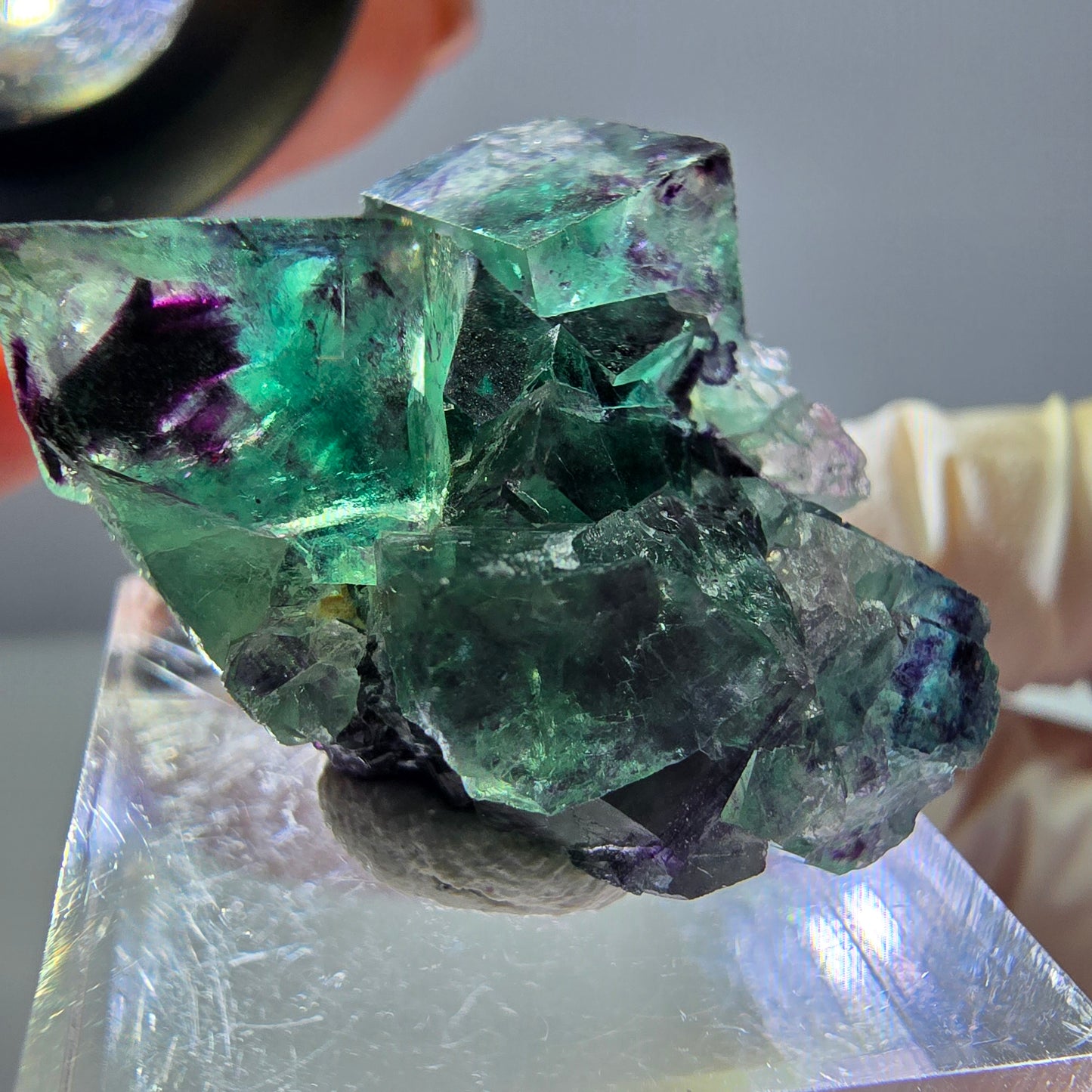 Phantom Fluorit Würfel Stufe, parkettiert grün lila Okorusu, Namibia 31*25*14mm