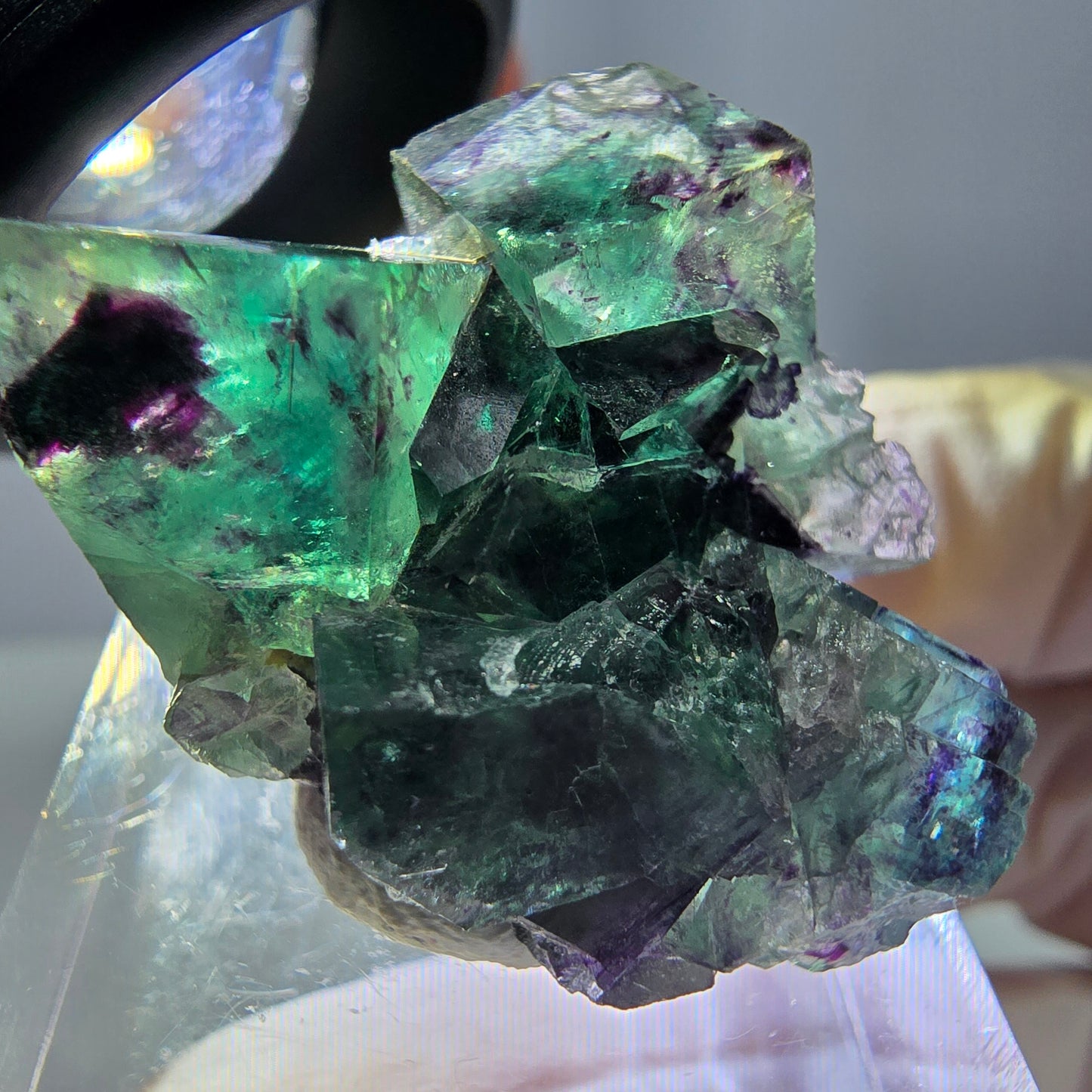 Phantom Fluorit Würfel Stufe, parkettiert grün lila Okorusu, Namibia 31*25*14mm