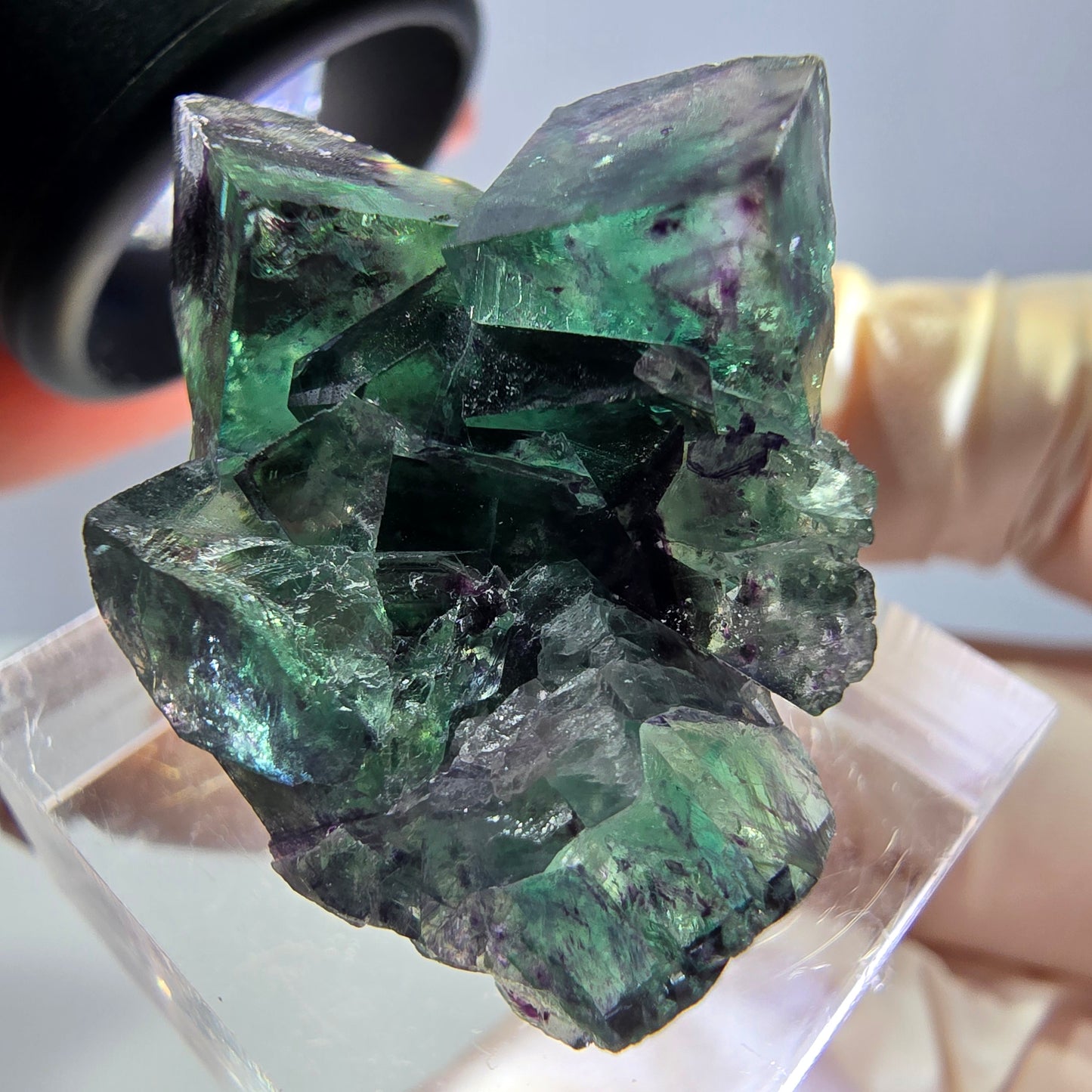 Phantom Fluorit Würfel Stufe, parkettiert grün lila Okorusu, Namibia 31*25*14mm