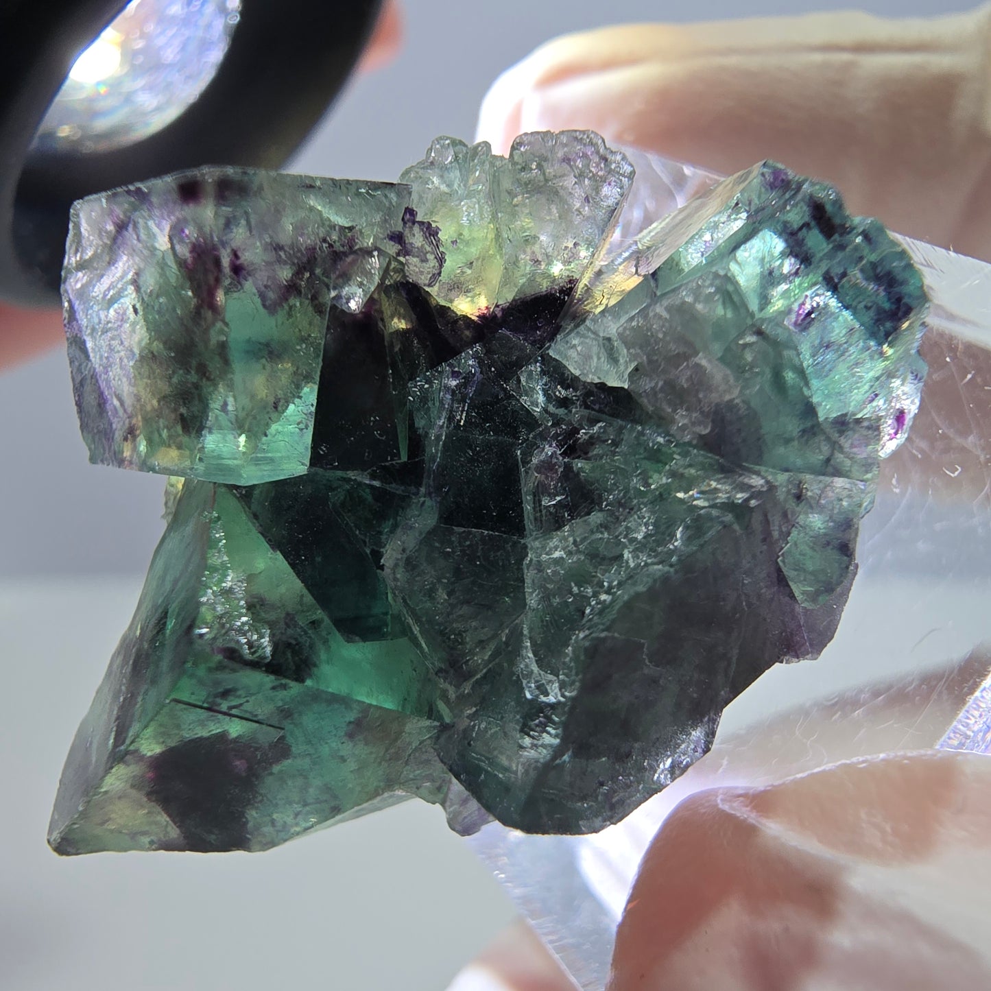 Phantom Fluorit Würfel Stufe, parkettiert grün lila Okorusu, Namibia 31*25*14mm