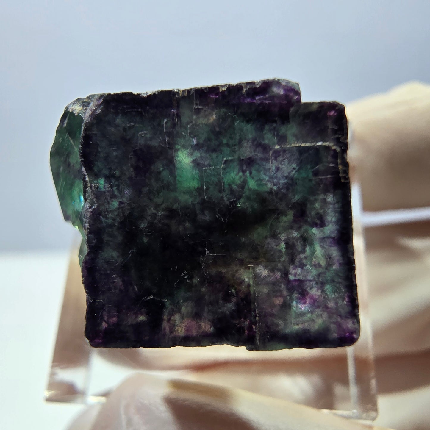 Phantom Fluorit Würfel Stufe, parkettiert grün lila Okorusu, Namibia 21*20*17mm