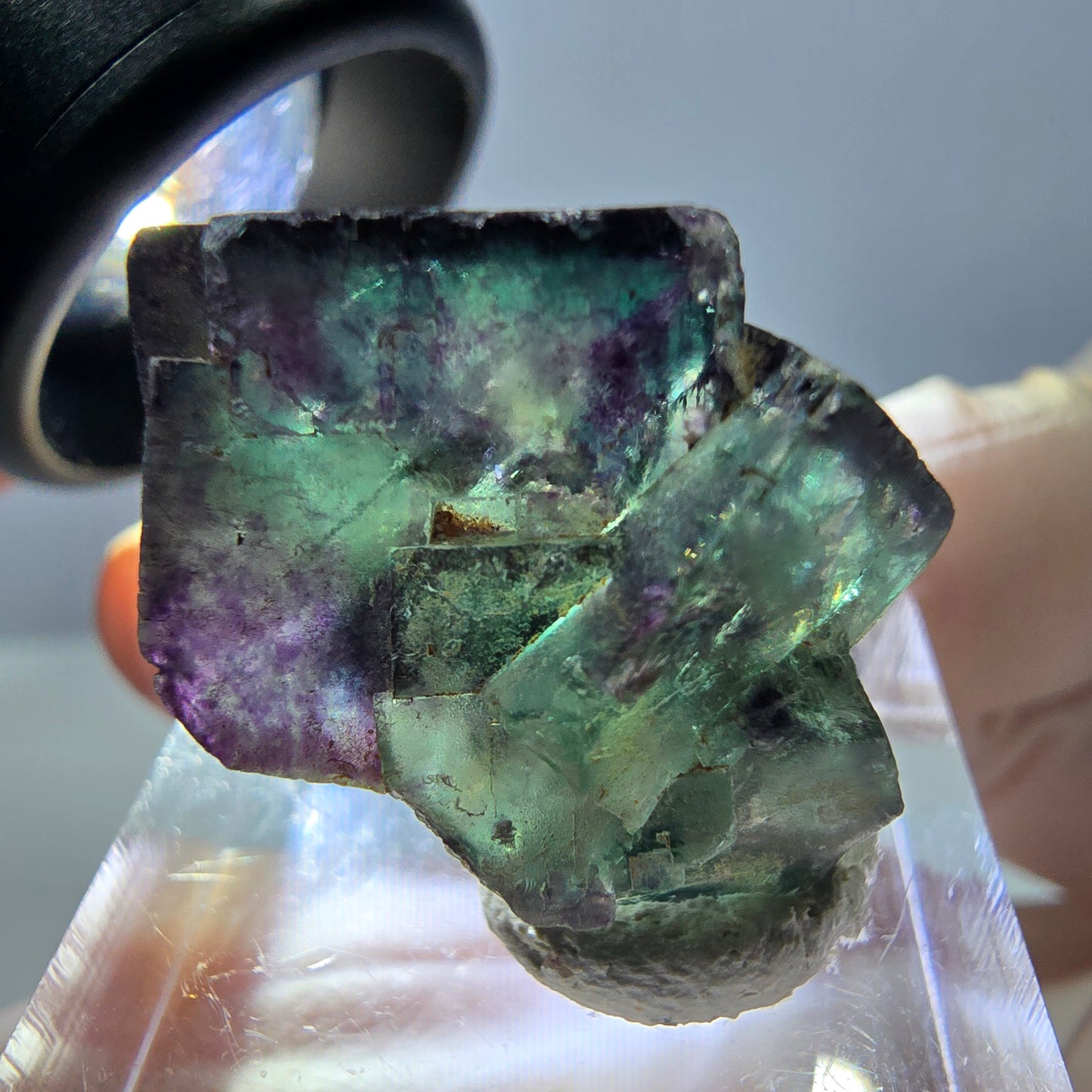 Phantom Fluorit Würfel Stufe, parkettiert grün lila Okorusu, Namibia 21*20*17mm