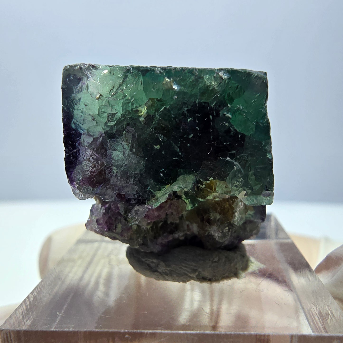 Phantom Fluorit Würfel Stufe, parkettiert grün lila Okorusu, Namibia 27*21*16mm