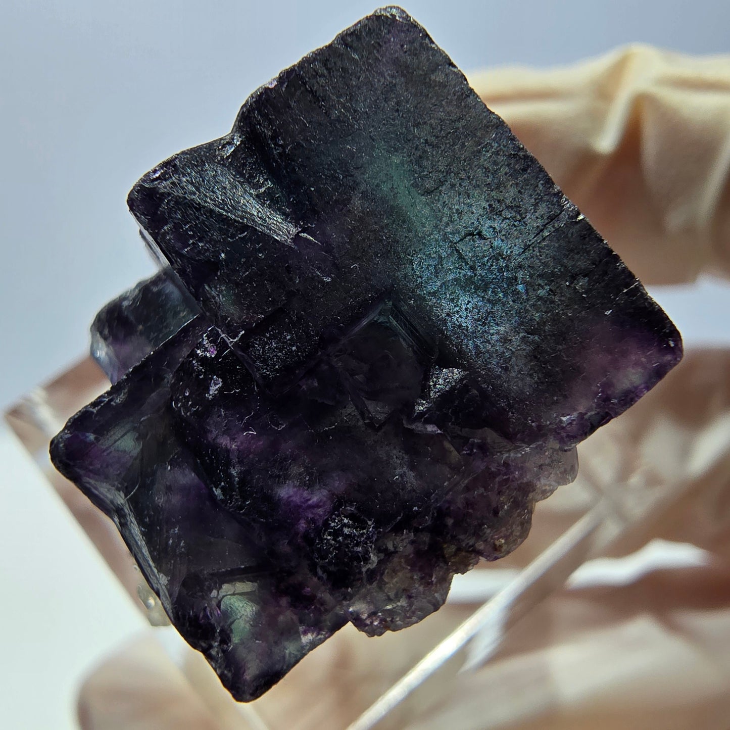 Phantom Fluorit Würfel Stufe, parkettiert grün lila Okorusu, Namibia 23*22*18mm