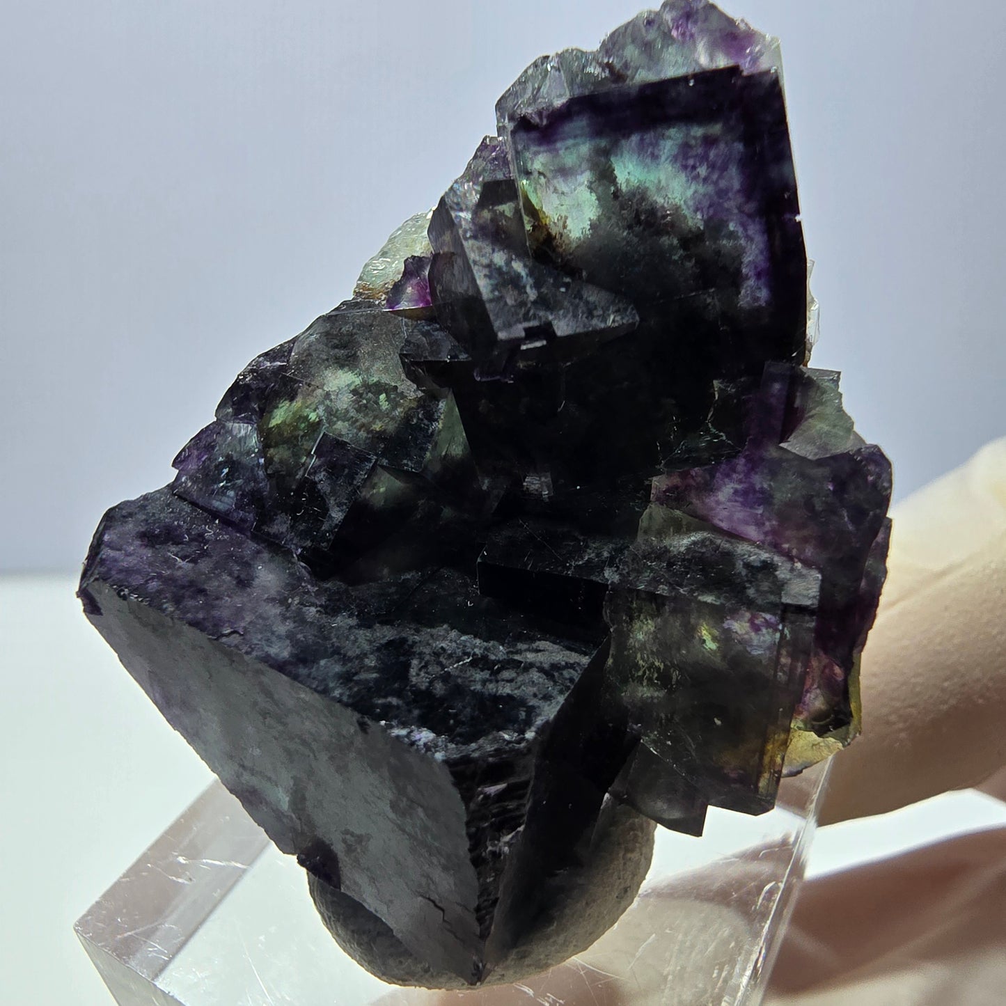 Phantom Fluorit Würfel Stufe, parkettiert grün lila Okorusu, Namibia 39*33*19mm