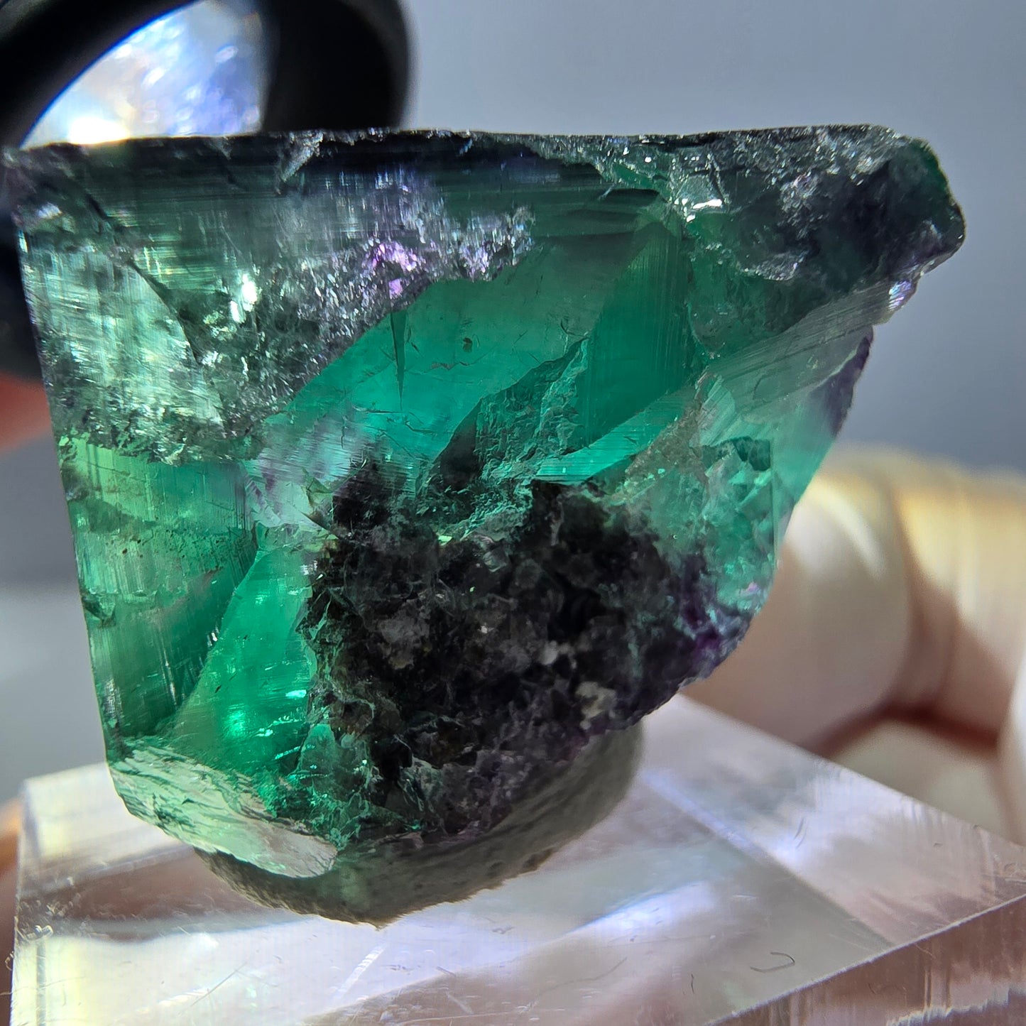Phantom Fluorit Würfel Stufe, parkettiert grün lila Okorusu, Namibia 25*24*22mm